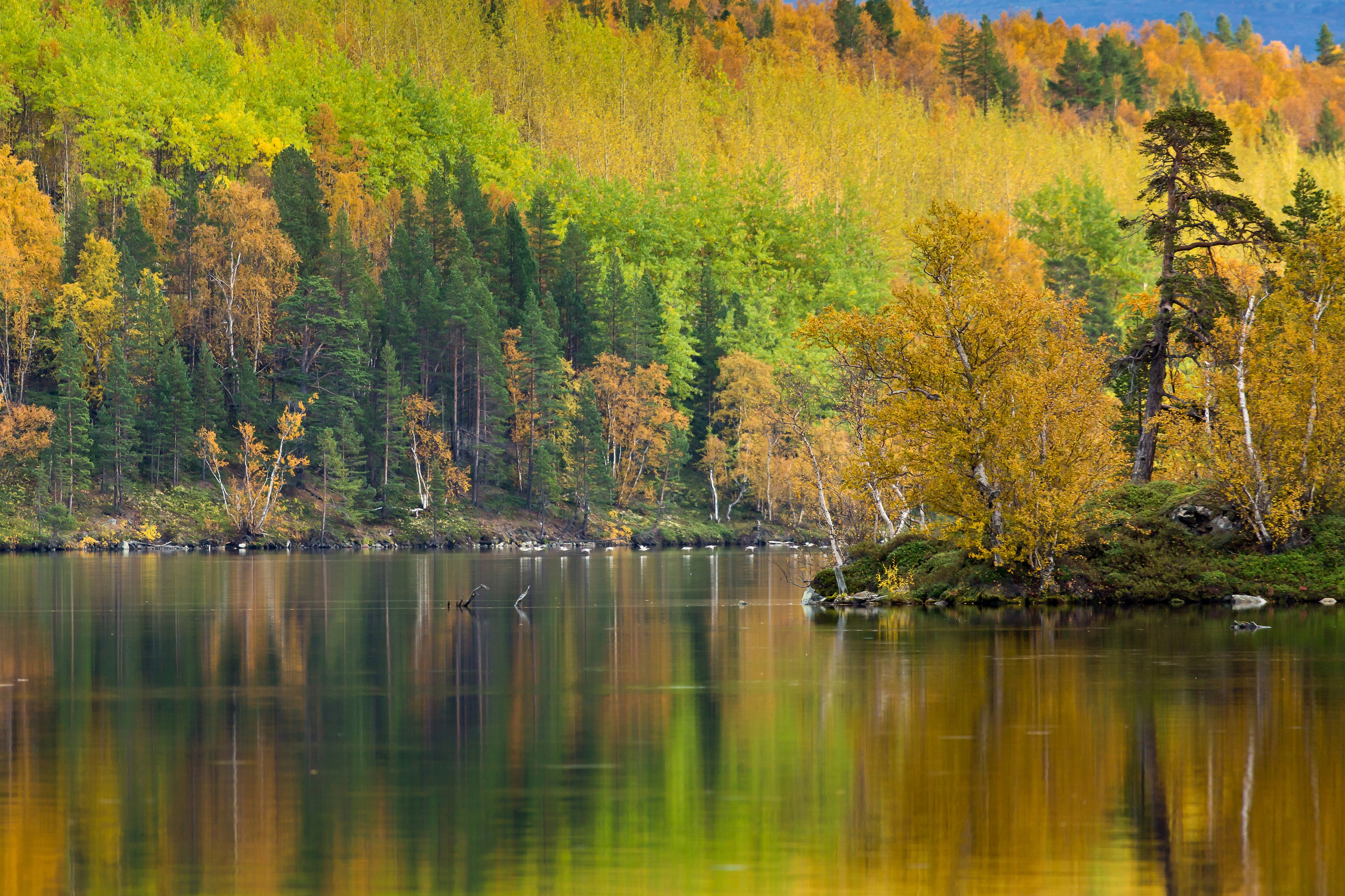 Река Паз. Пейзажи Крайнего Севера. Баренцево море, Рыбачий, Средний, Немецкий