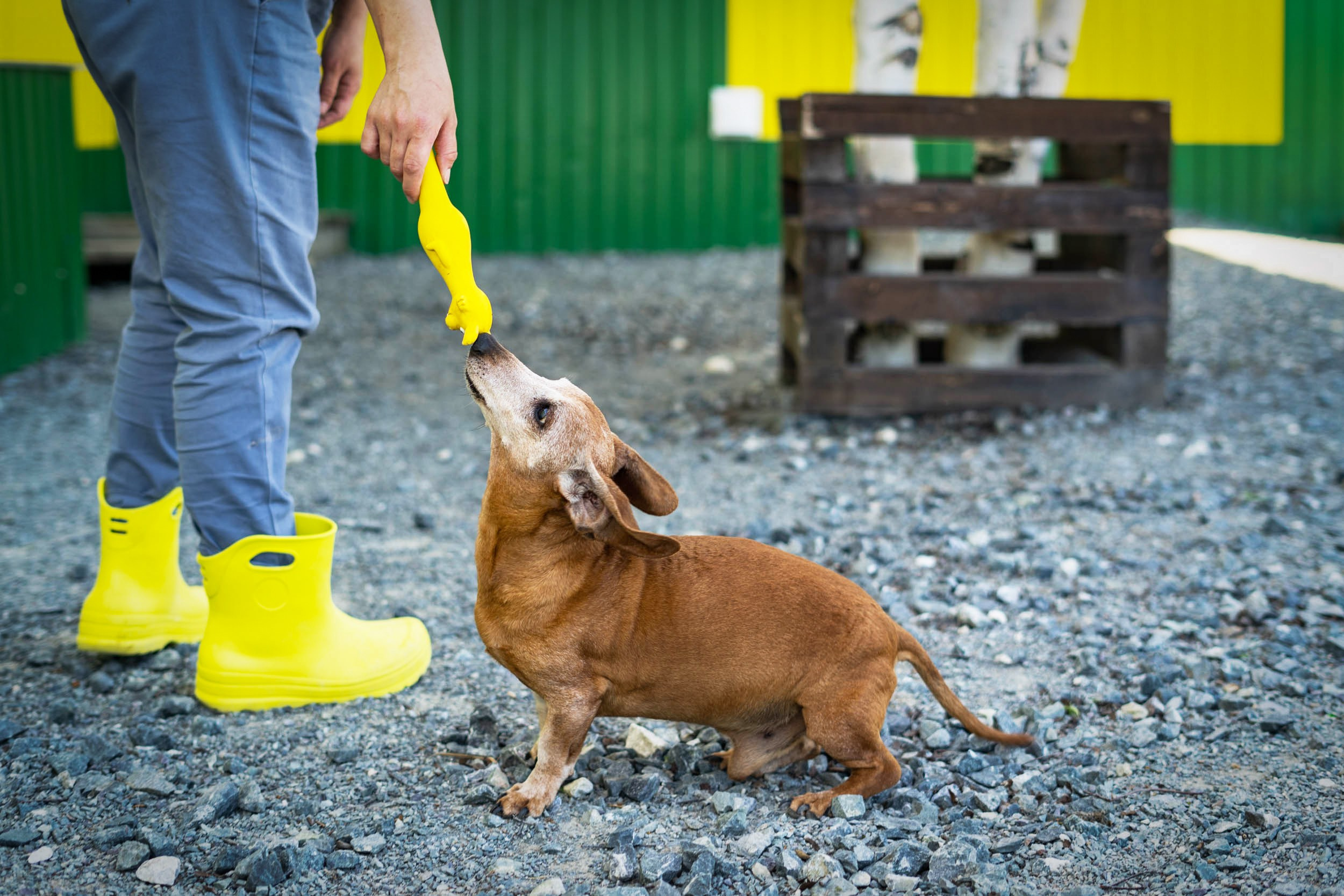 Гостиница. Фотограф Екатерина Зорина