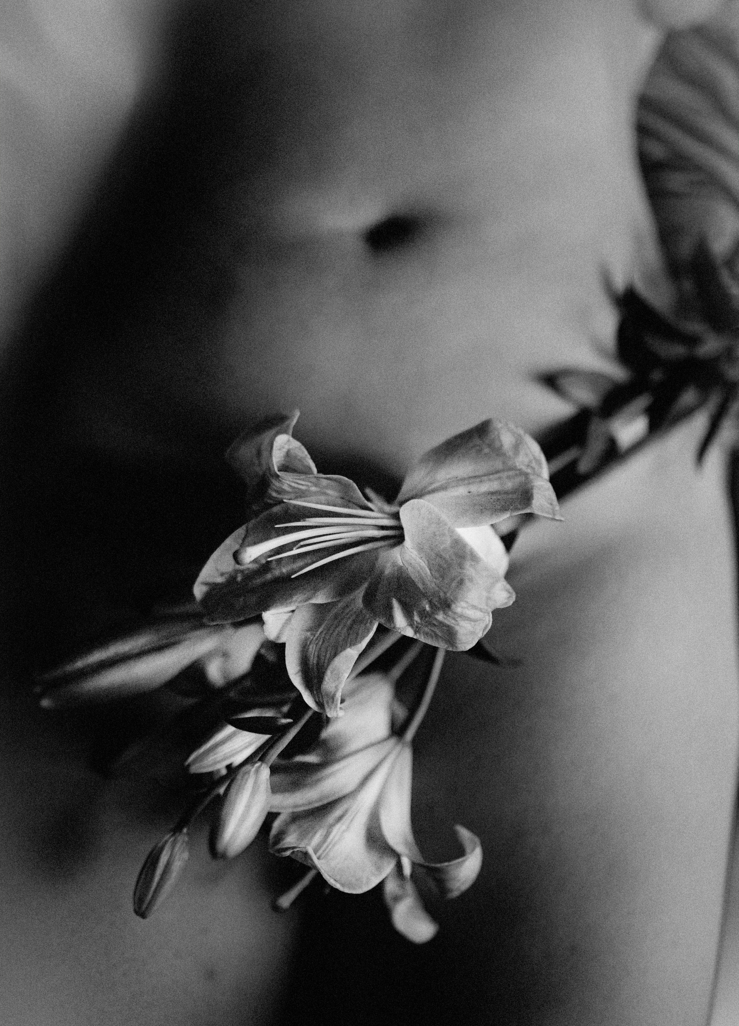 Съемка для Лены. Женский семейный фотограф Тула Москва Захарова Анна