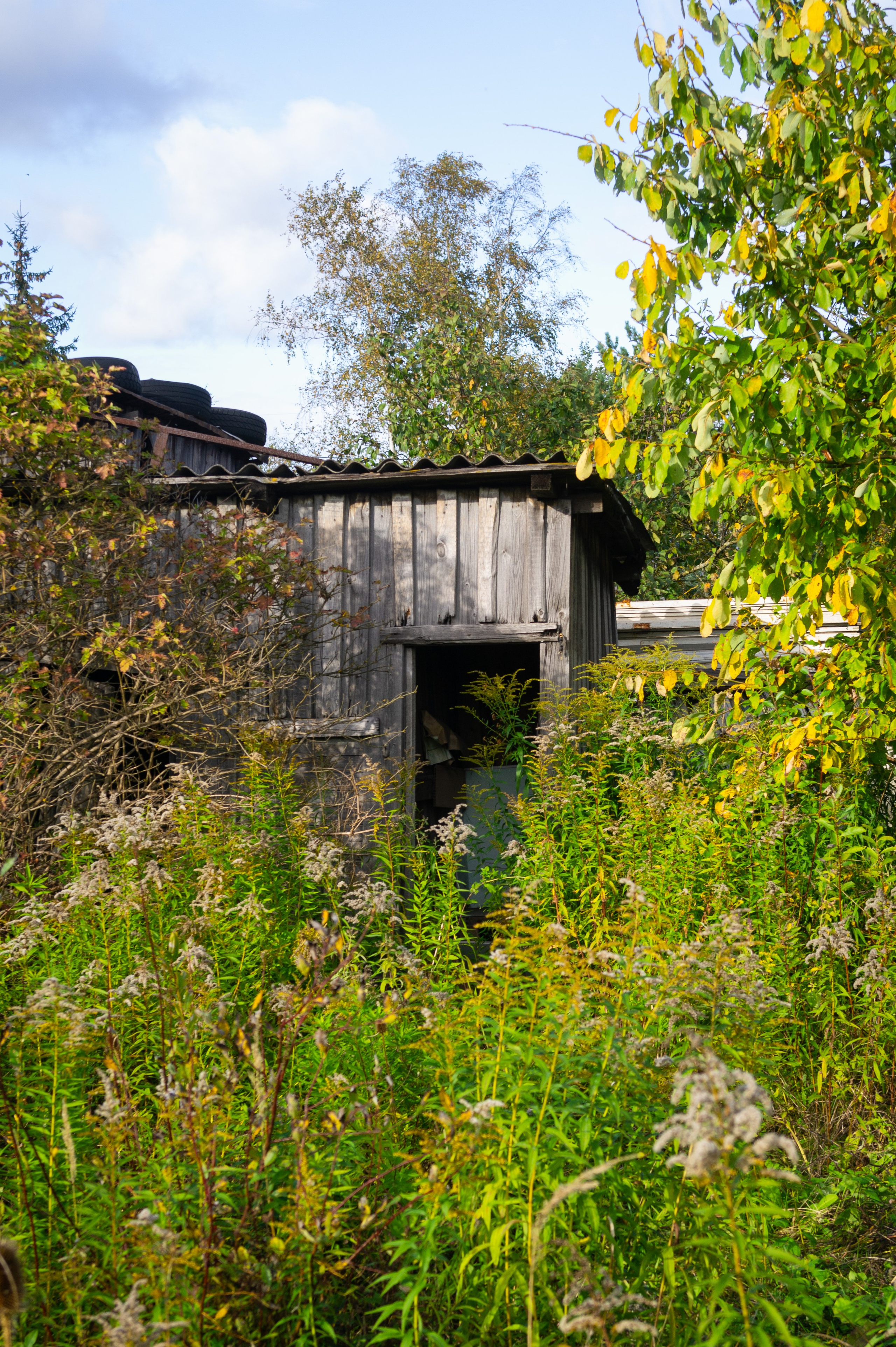 Сентябрь 2025. Den Mirov — Фотограф, Музыкант