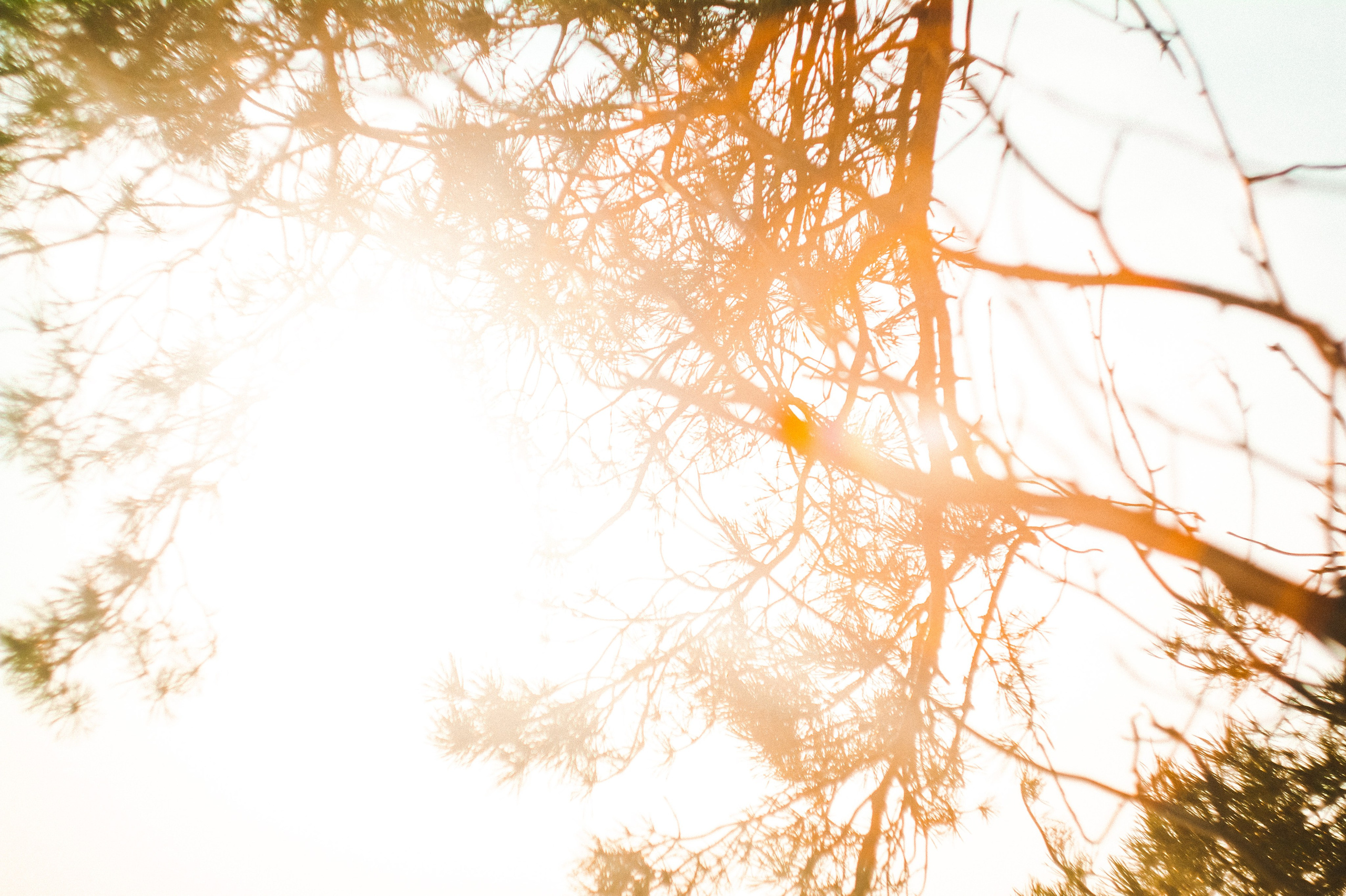 Narcissist. Den Mirov — Photographer, Musician