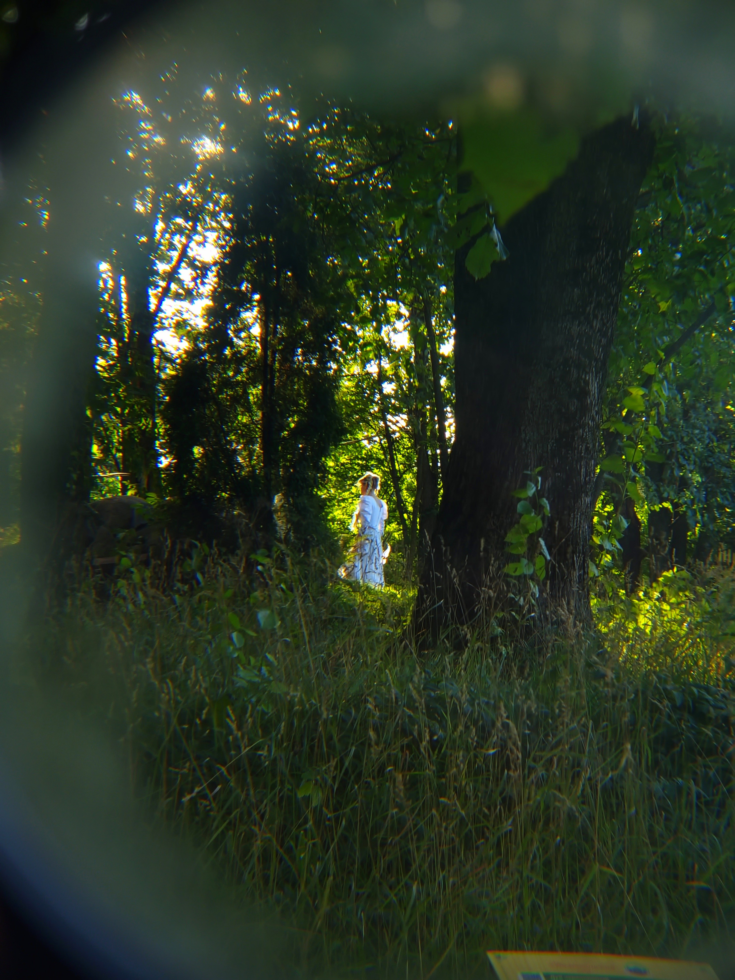 Август 2025. Den Mirov — Фотограф, Музыкант