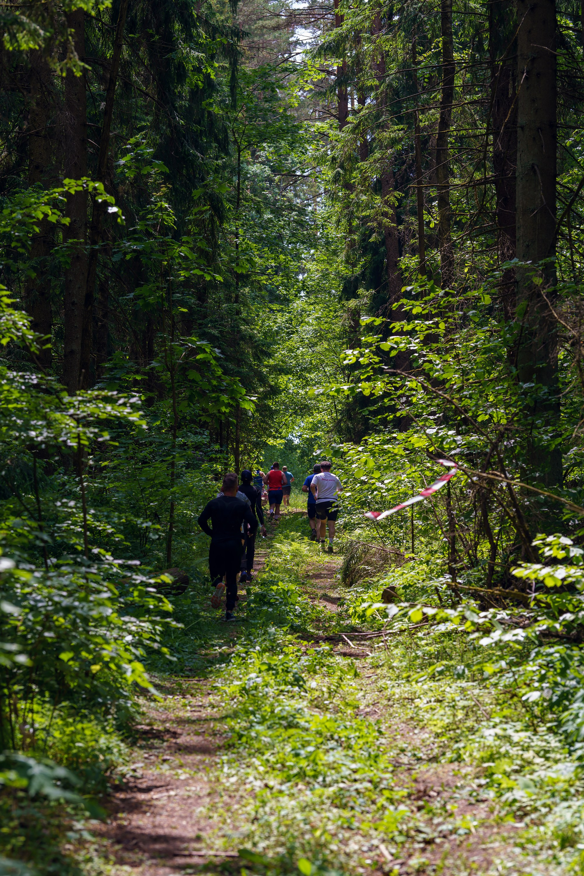 Фотографии Иммерсивный трейл «Лукоморье» 2025. Фотограф спортивные события, недвижимость, турбизнес