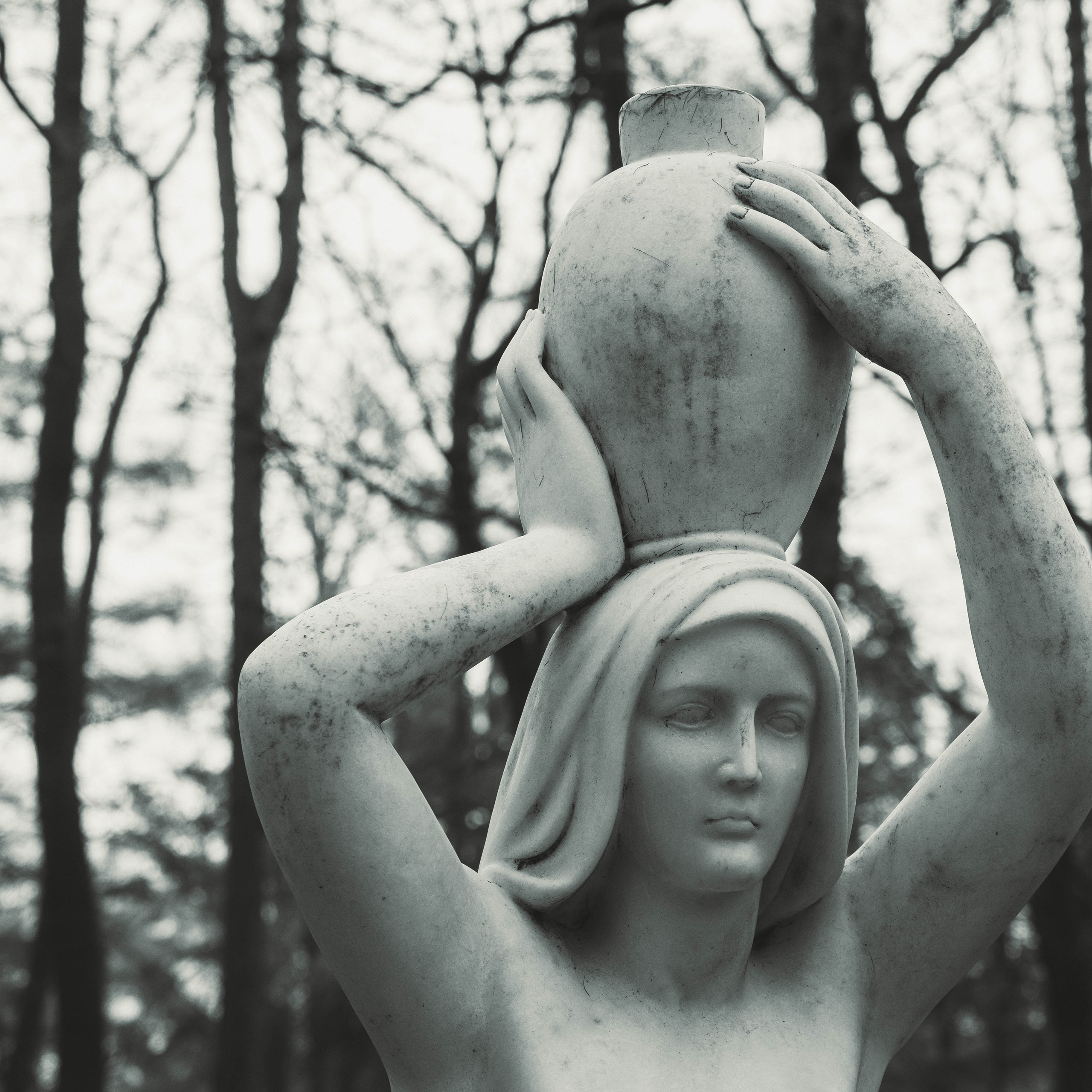 Калининград, декабрь 2025. Фотограф в Ярославле Ольга Пыненкова