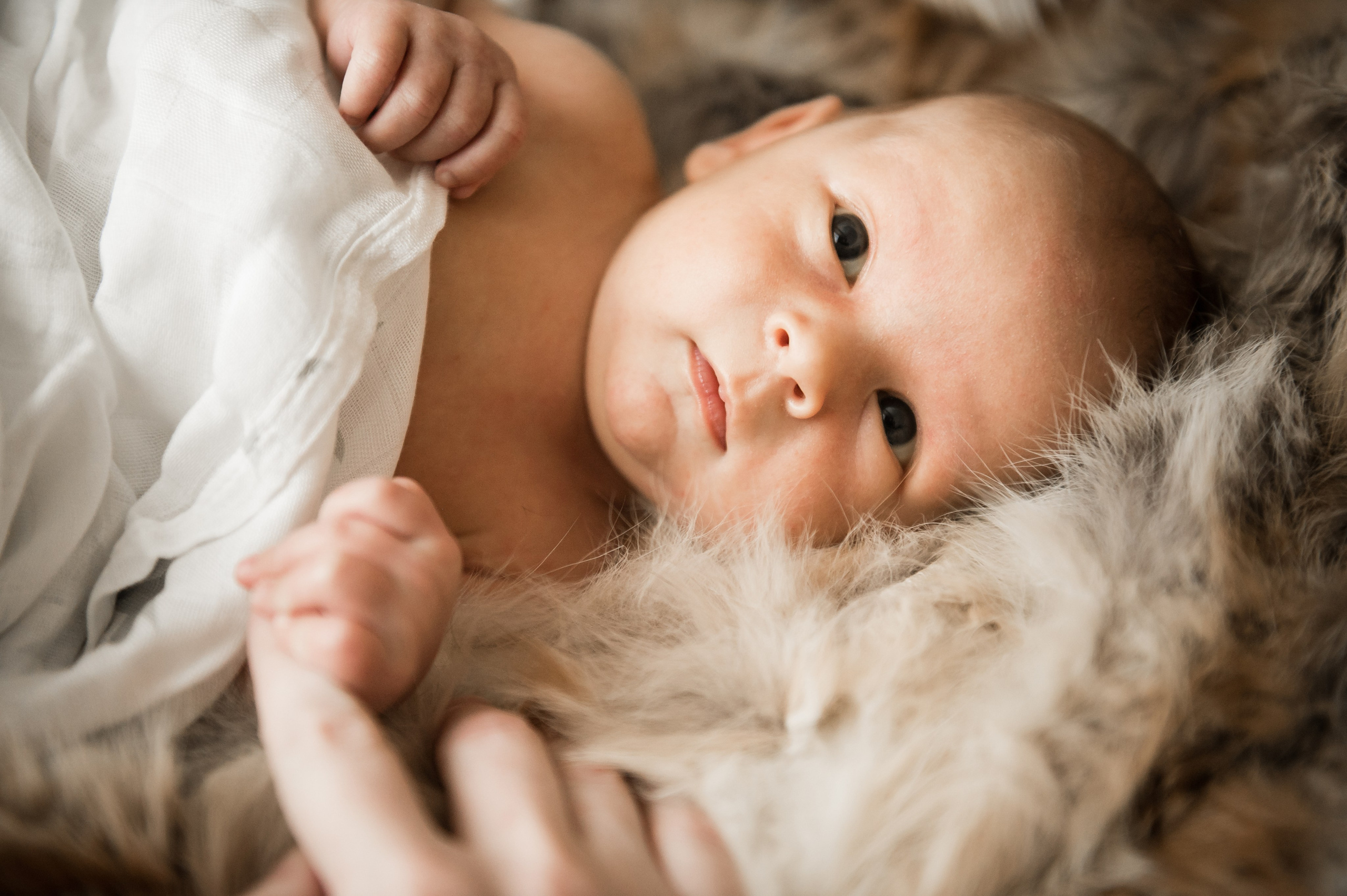 Антон, Владлена +2 :). Фотограф Егоров Констанин