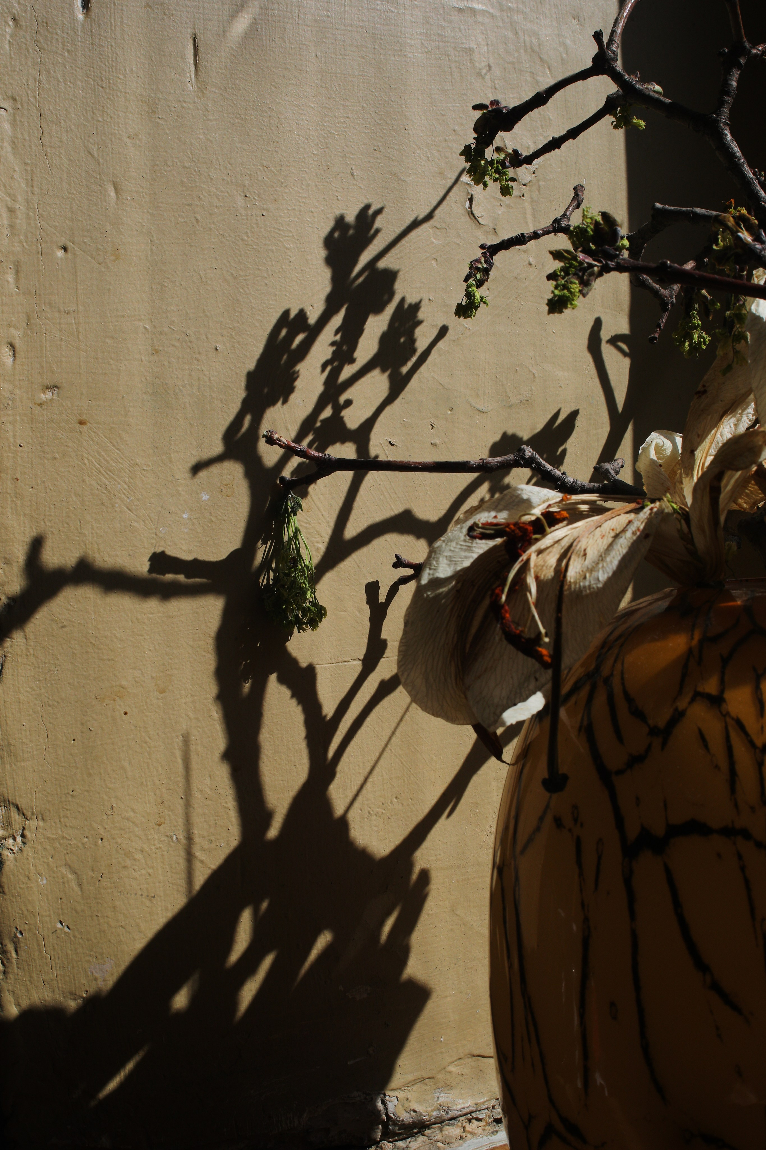 IV. Стас Привалов