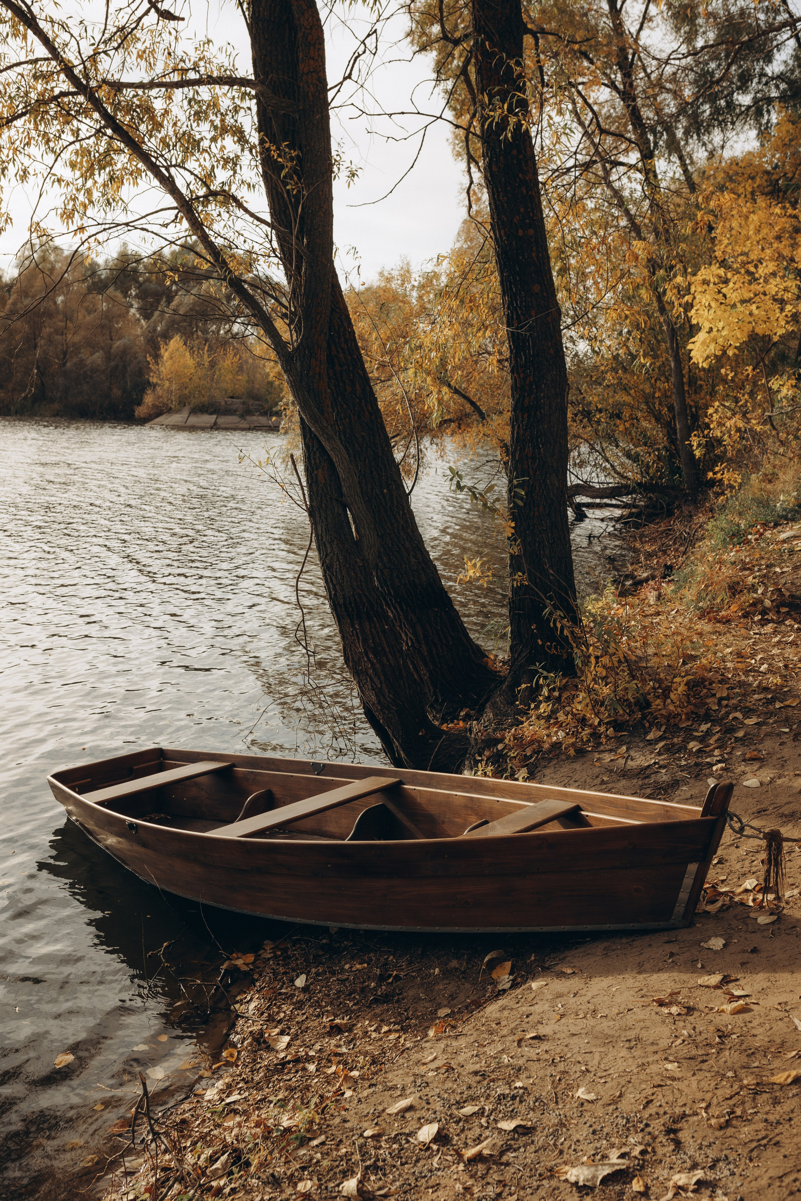 Фотопрогулка. Главная