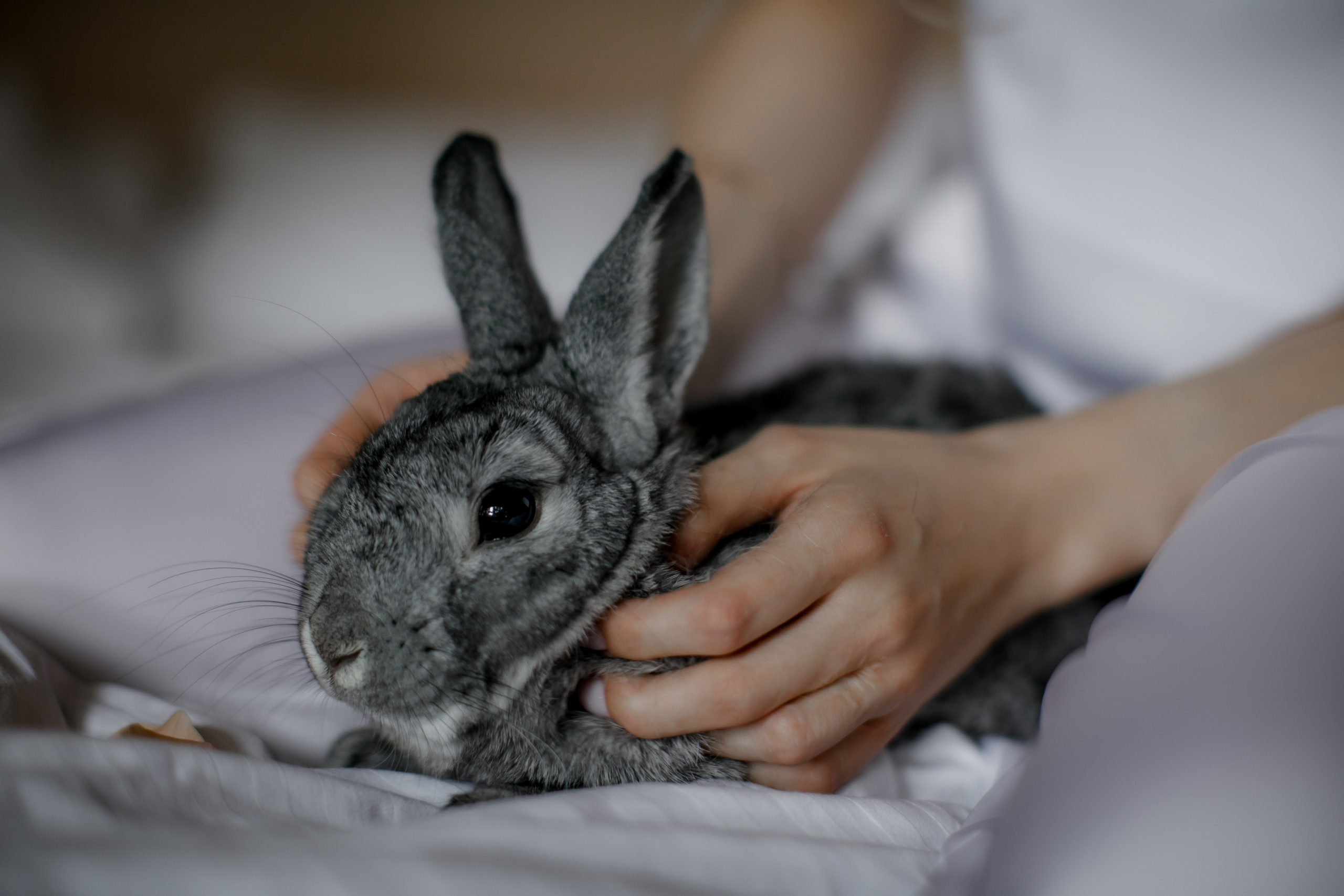 Настя и Иван. Классика. Свадебный фотограф Марина Назарова Москва