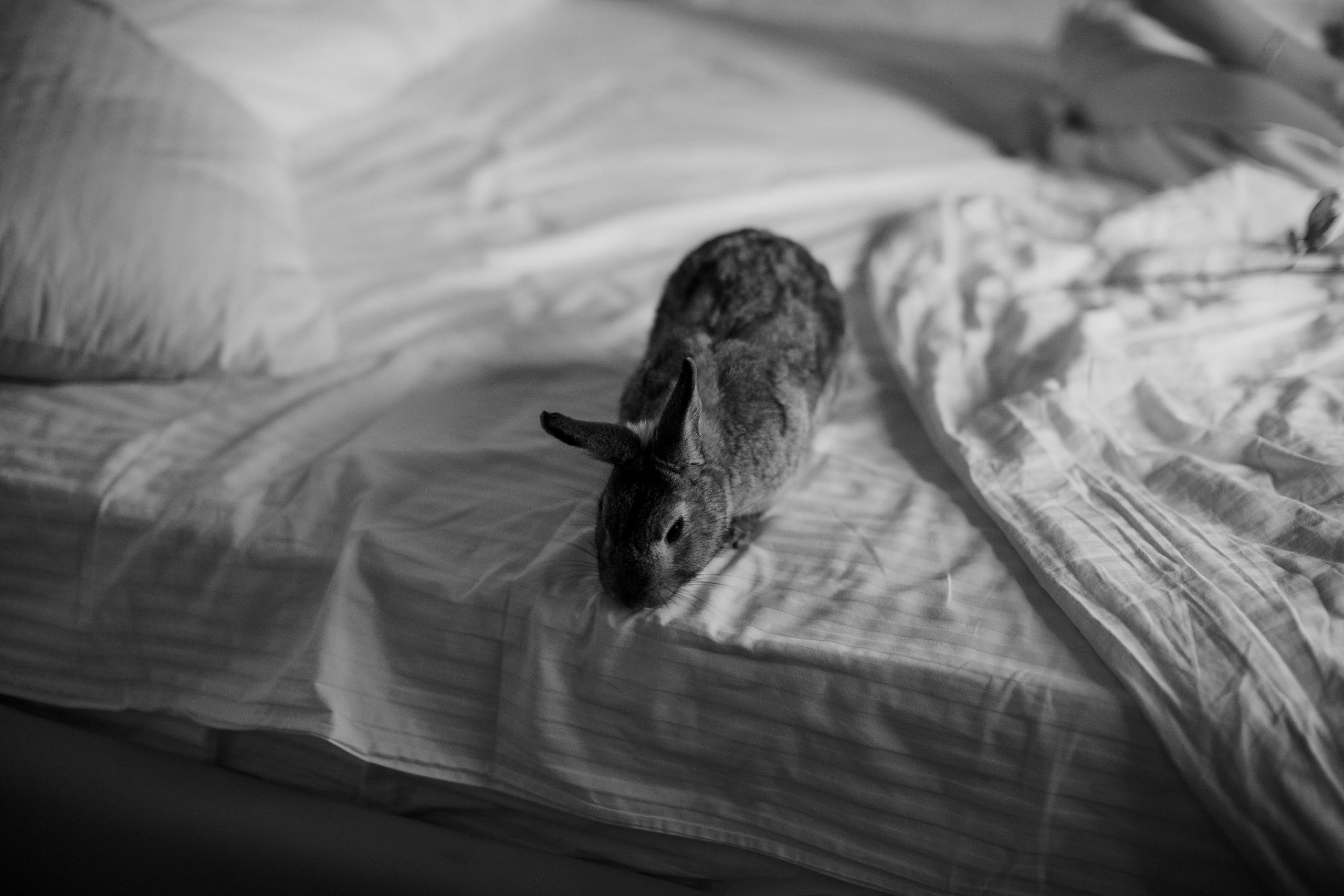 Настя и Иван. Классика. Свадебный фотограф Марина Назарова Москва