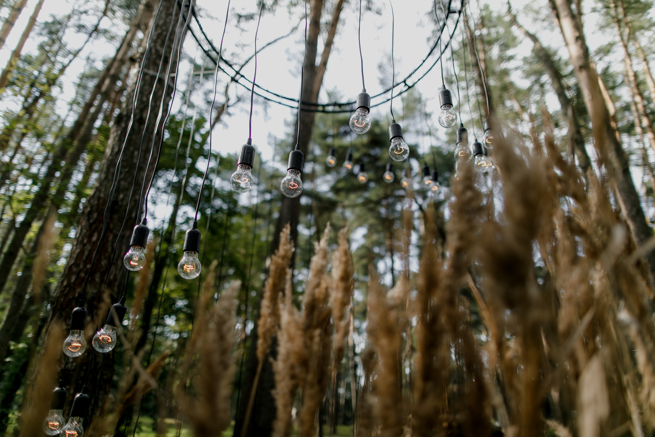 Дойна и Иван. Классика. Свадебный фотограф Марина Назарова Москва