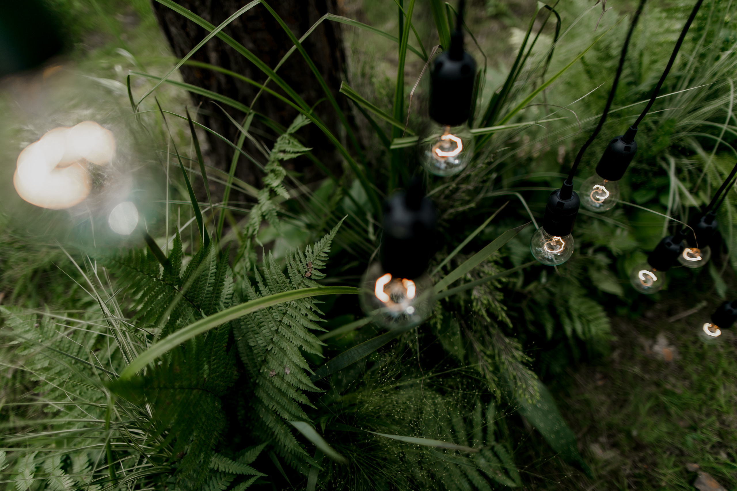 Дойна и Иван. Классика. Свадебный фотограф Марина Назарова Москва