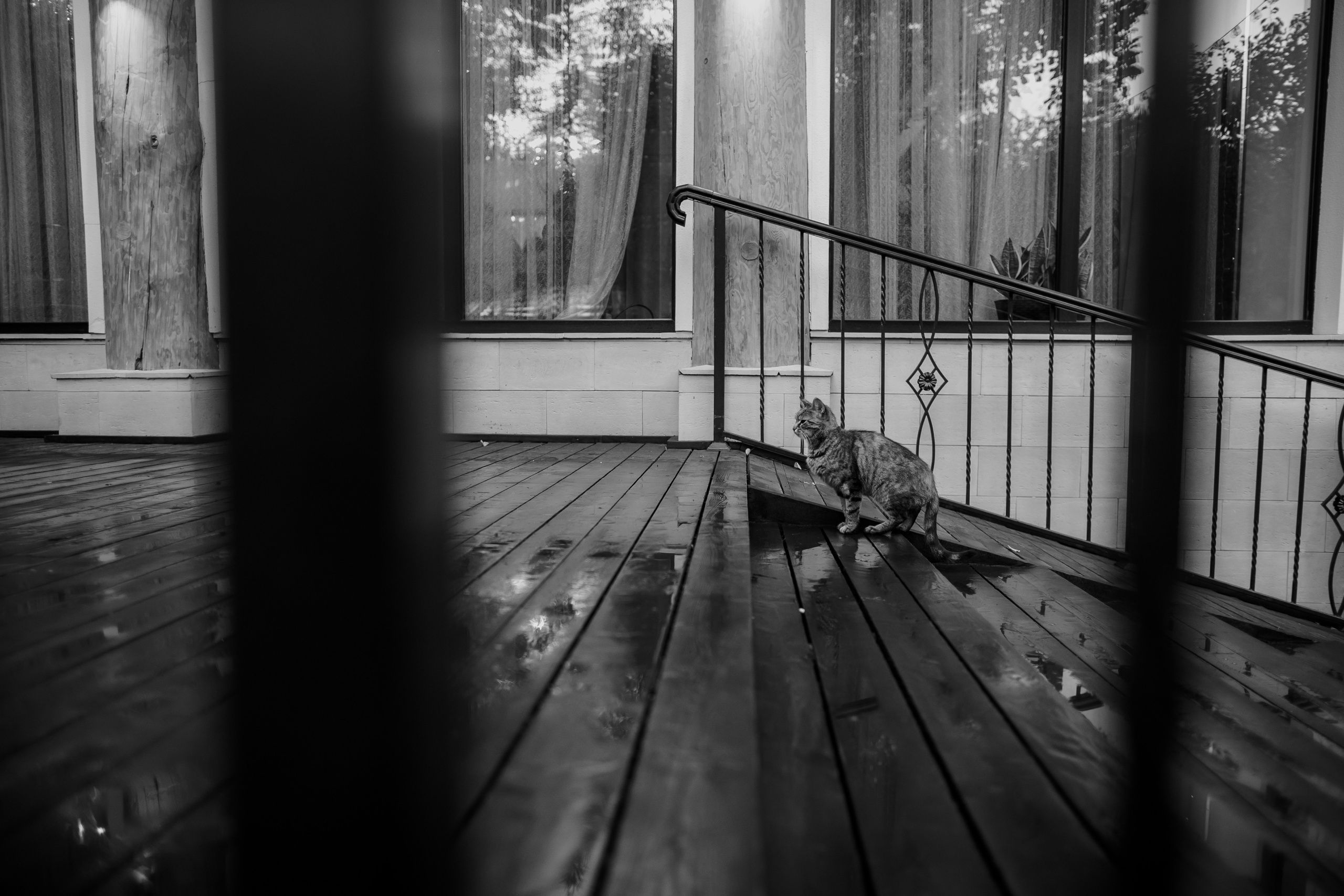 Настя и Иван. Классика. Свадебный фотограф Марина Назарова Москва