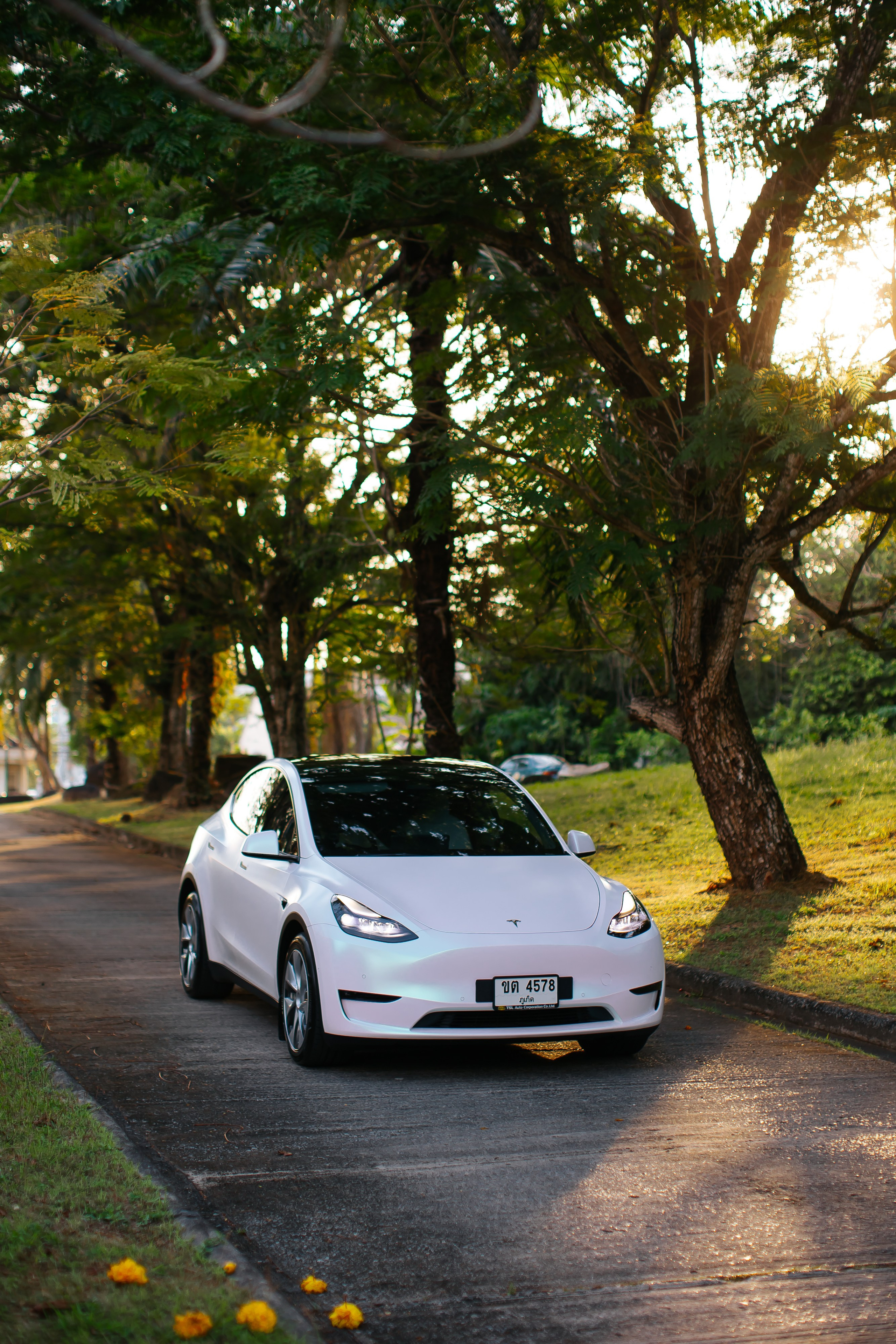 Tesla Model 3 Pearl. Фотограф в на Пхукете Сергей Войлоков
