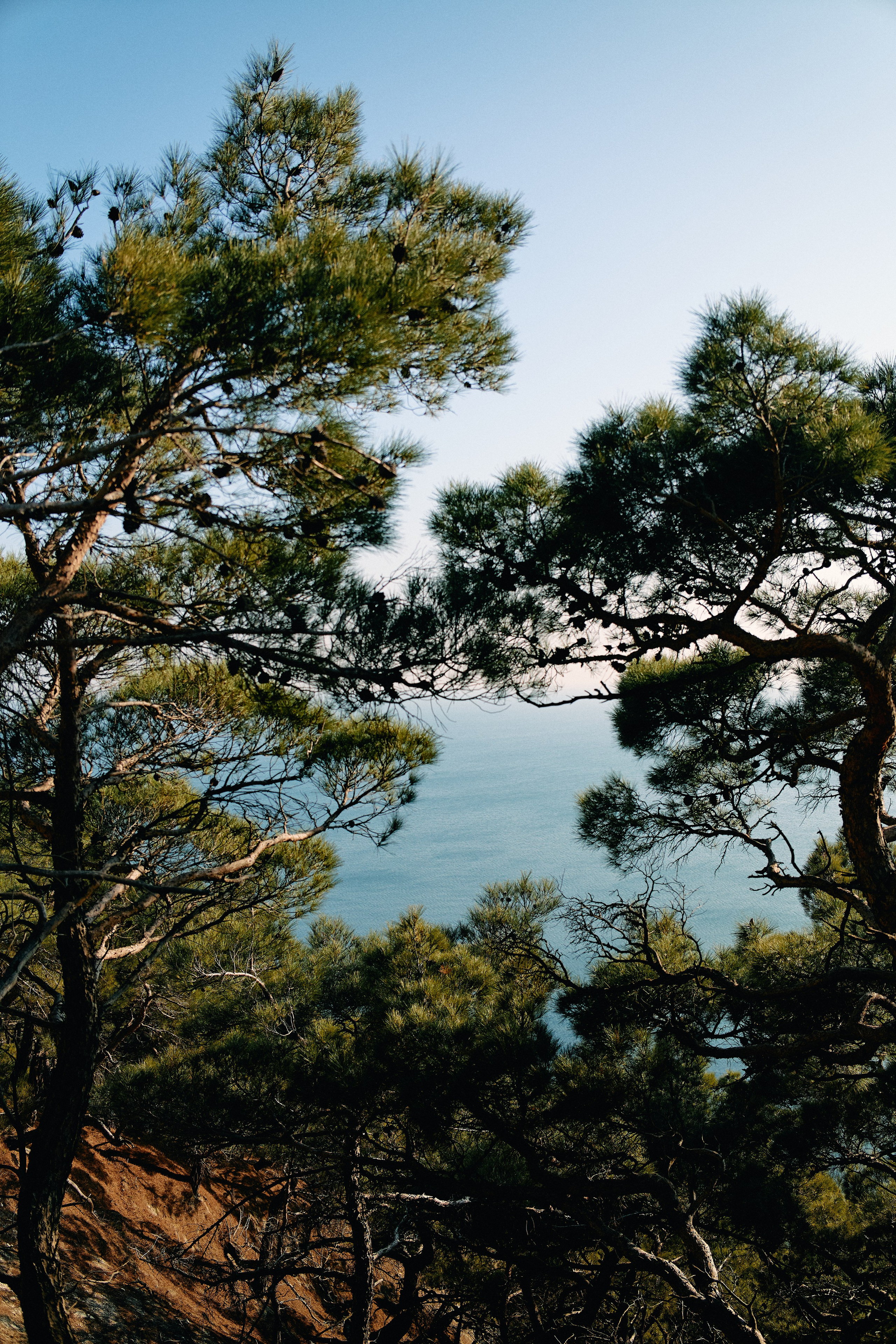 Юг России. Профессиональный Фотограф во Владимире, в Москве и в Суздале — Полина Романычева