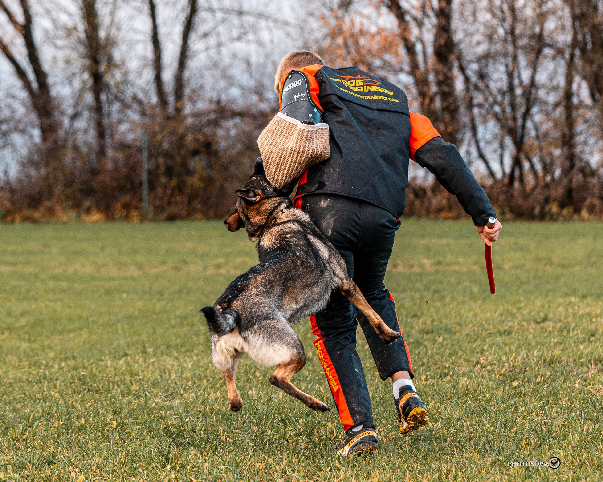 МЫ — КОМАНДА (соревнования) OKD, BH, IBGH, IGP. Фотограф-анималист, семейный фотограф в Москве и Подмосковье. Фотосъёмка кинологических дисциплин