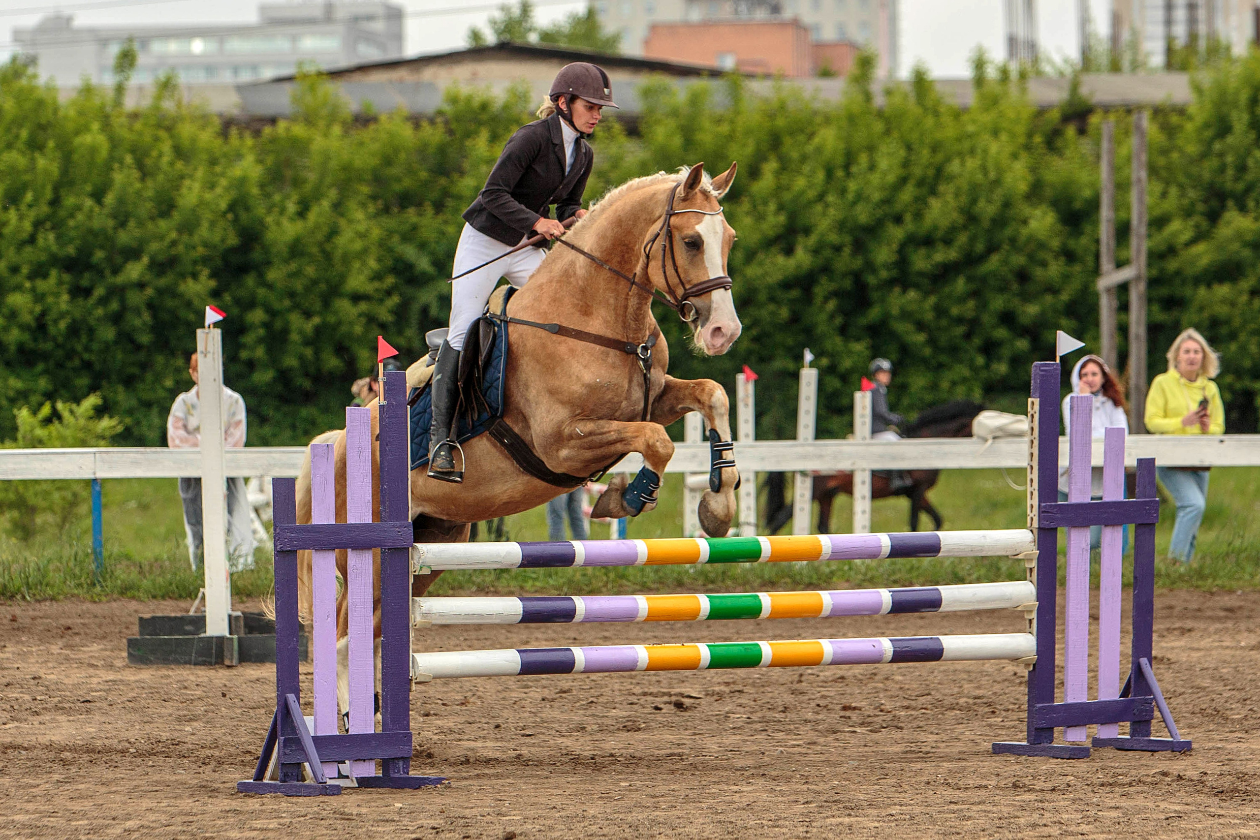 2024. Конный фотограф в Красноярске — Любовь Похабова