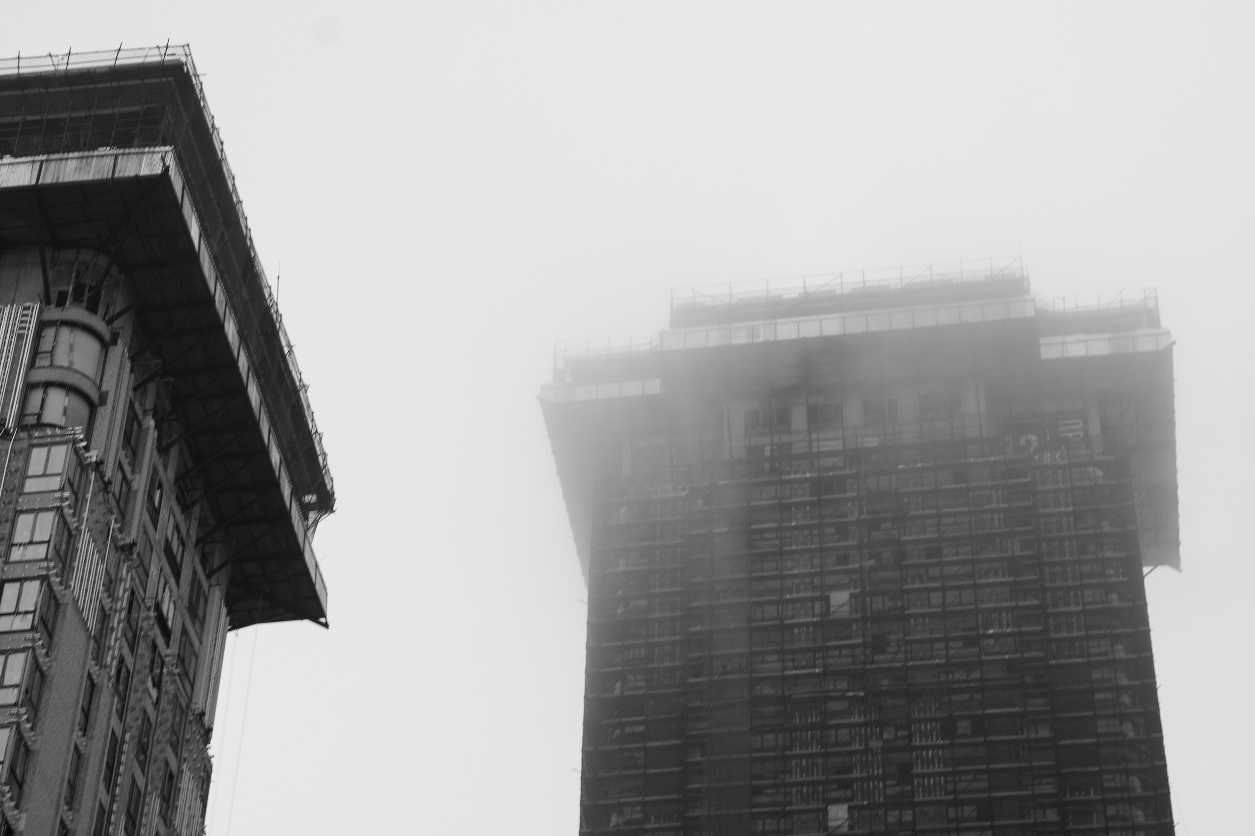 Разное неважное. Фотограф в Москве Алейникова Евгения