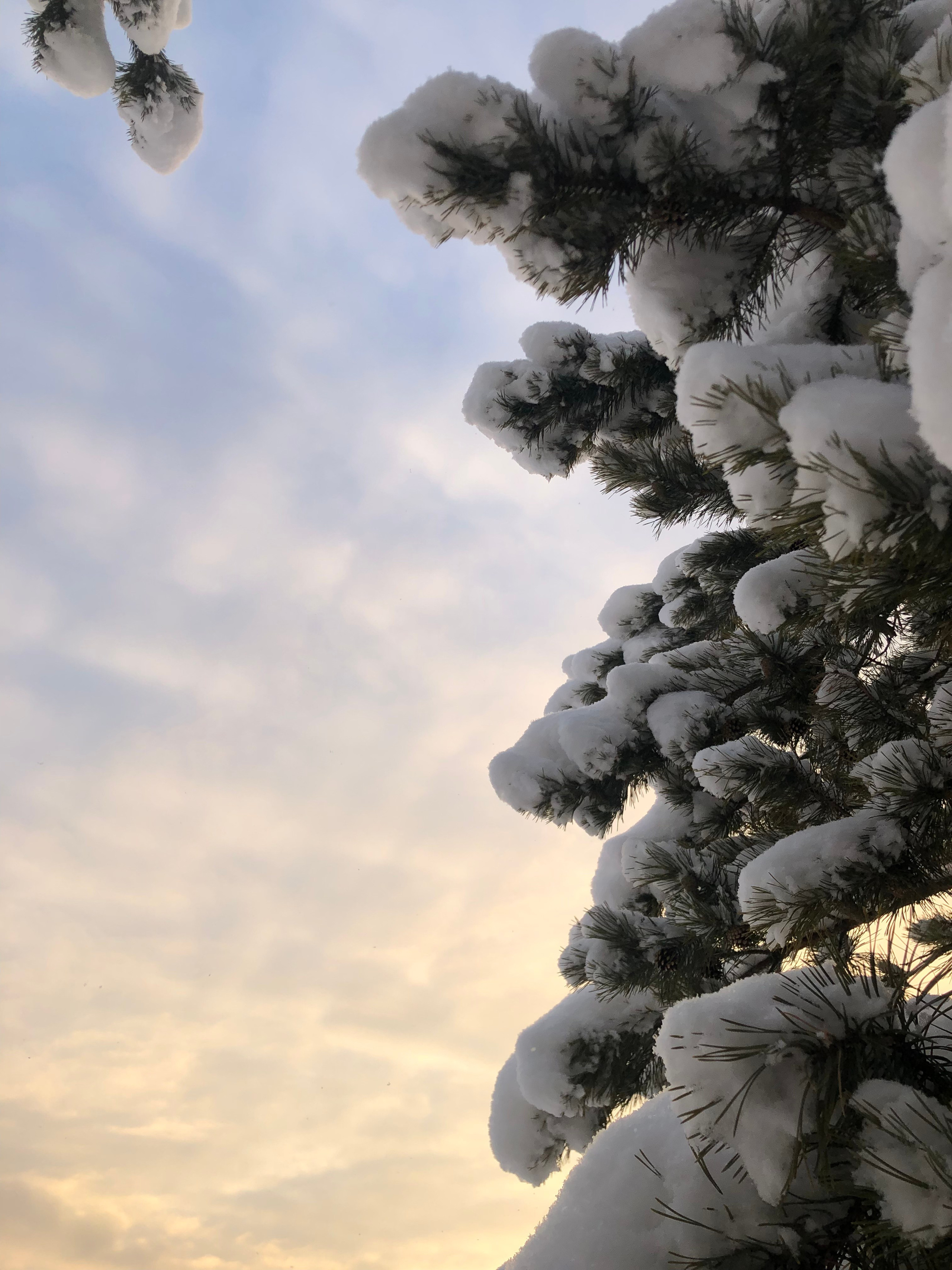 Ноябрь. Семейный, Свадебный фотограф СПБ Питер— Романова Екатерина