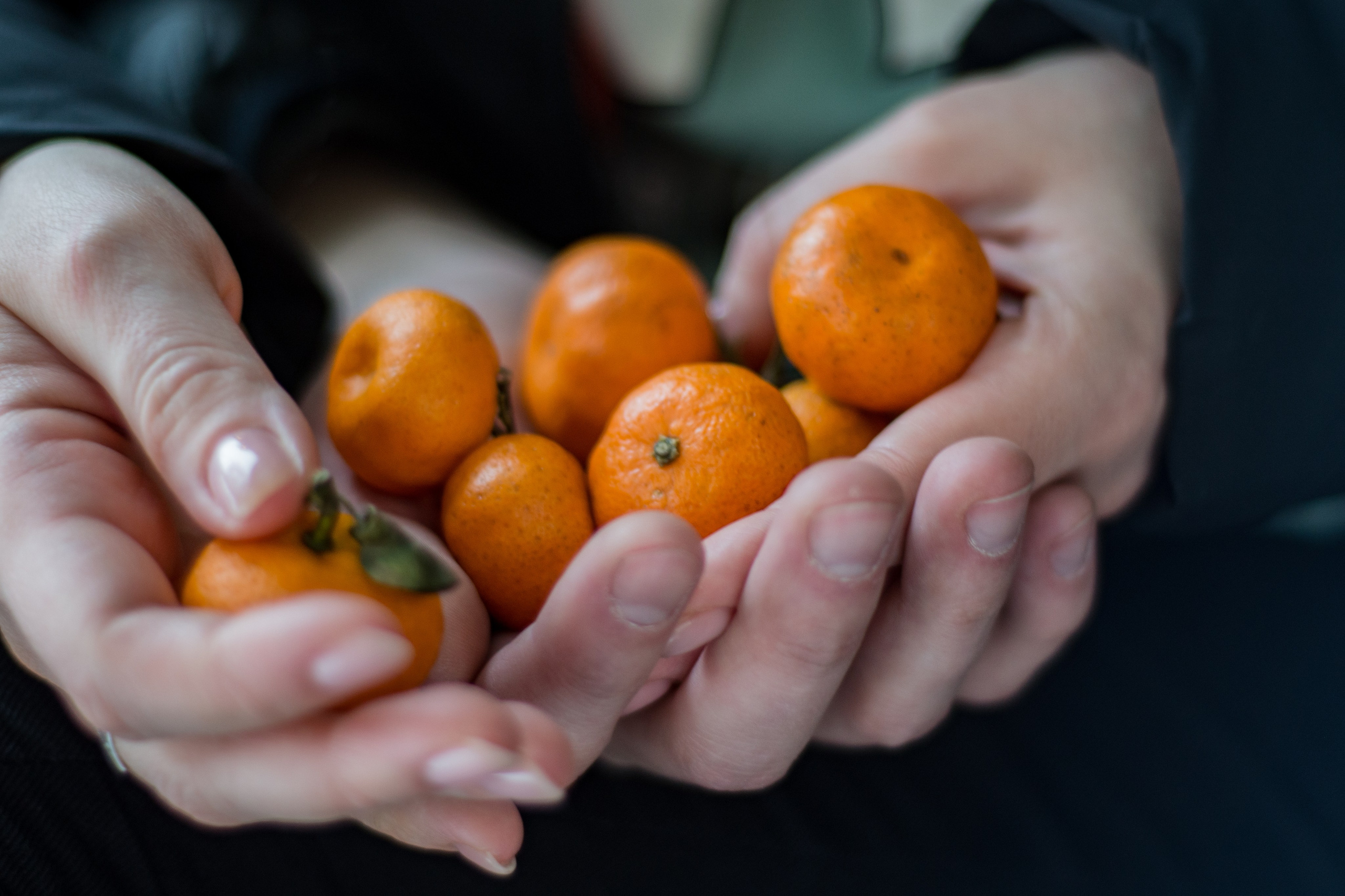 На природе. Фотограф и дизайнер в Москве Екатерина Лобачева