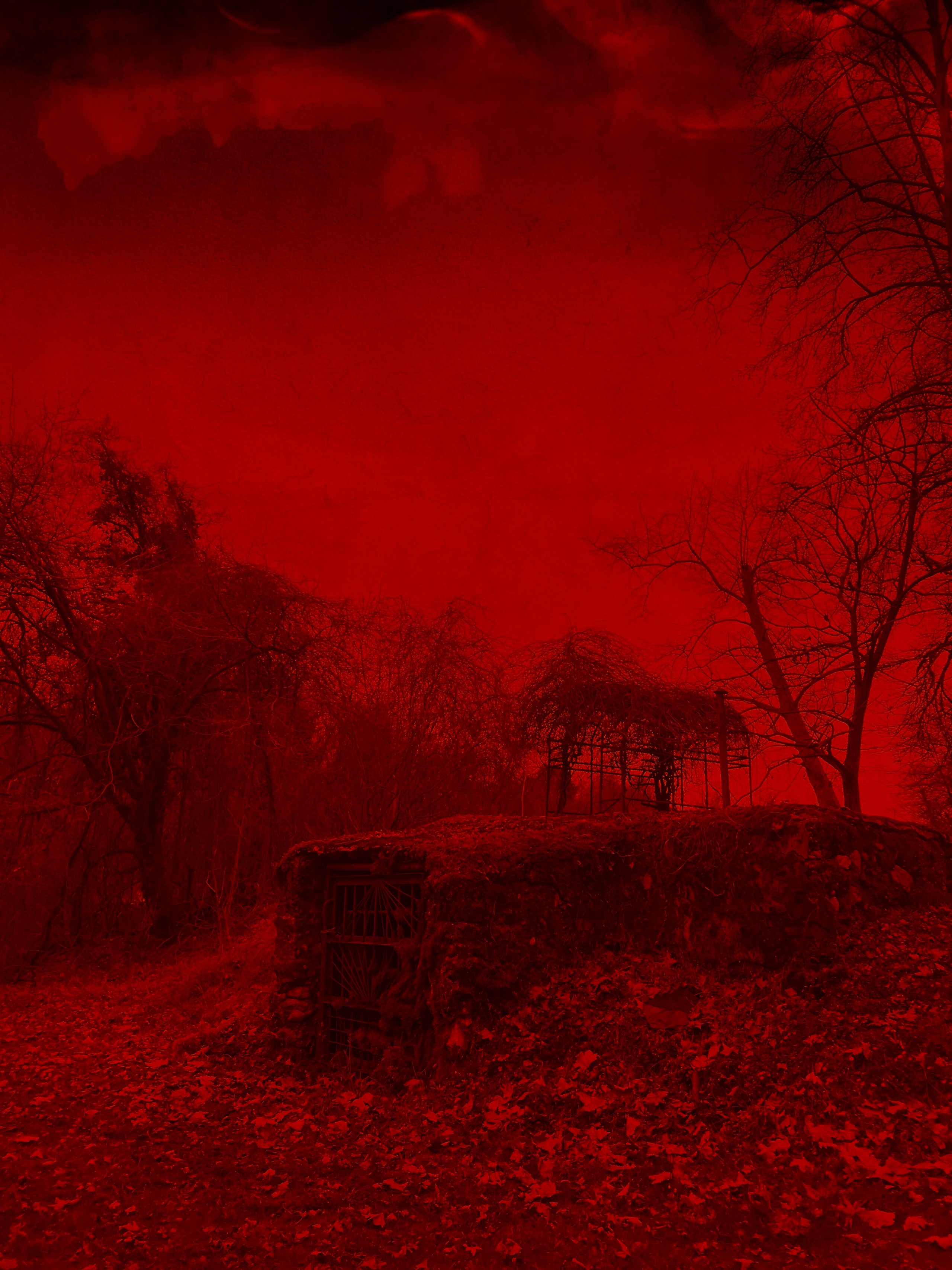 DISTURBING BEAUTY. Evgeniia Mikheeva — International visual artist