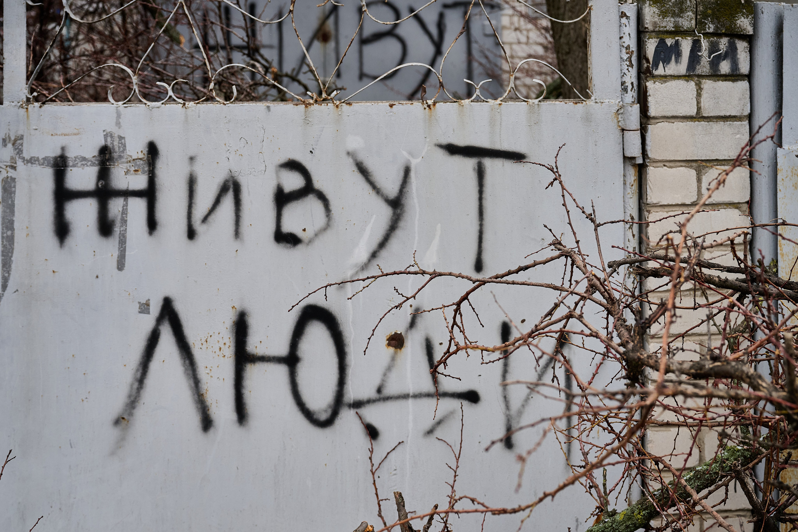 Лисичанск (Луганская область). Декабрь 2024 года. Фотограф Роман Адлер