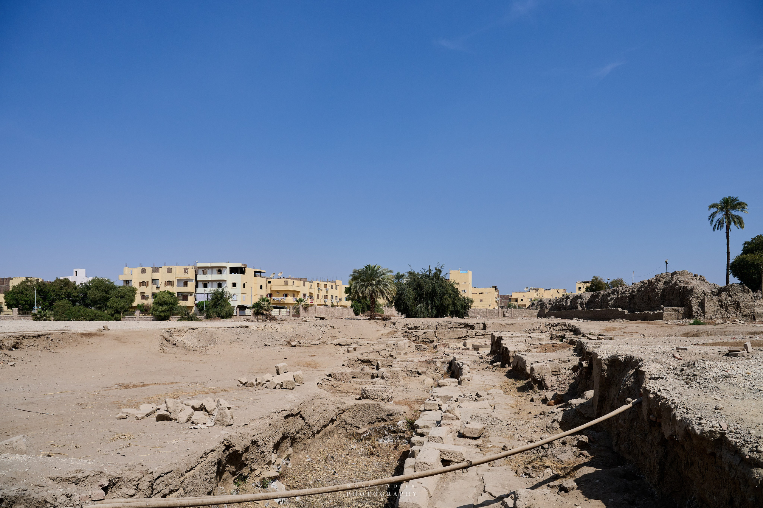 Луксор. Февраль 2025. Фотограф Роман Адлер