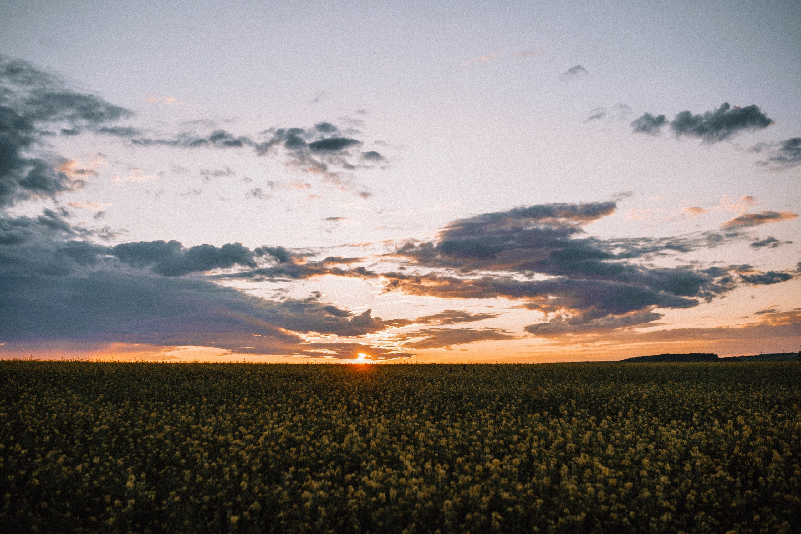 Сергей + Вика. Лайфстайл фотограф в Чебоксарах и Санкт-Петербурге Тоня Бекнёва