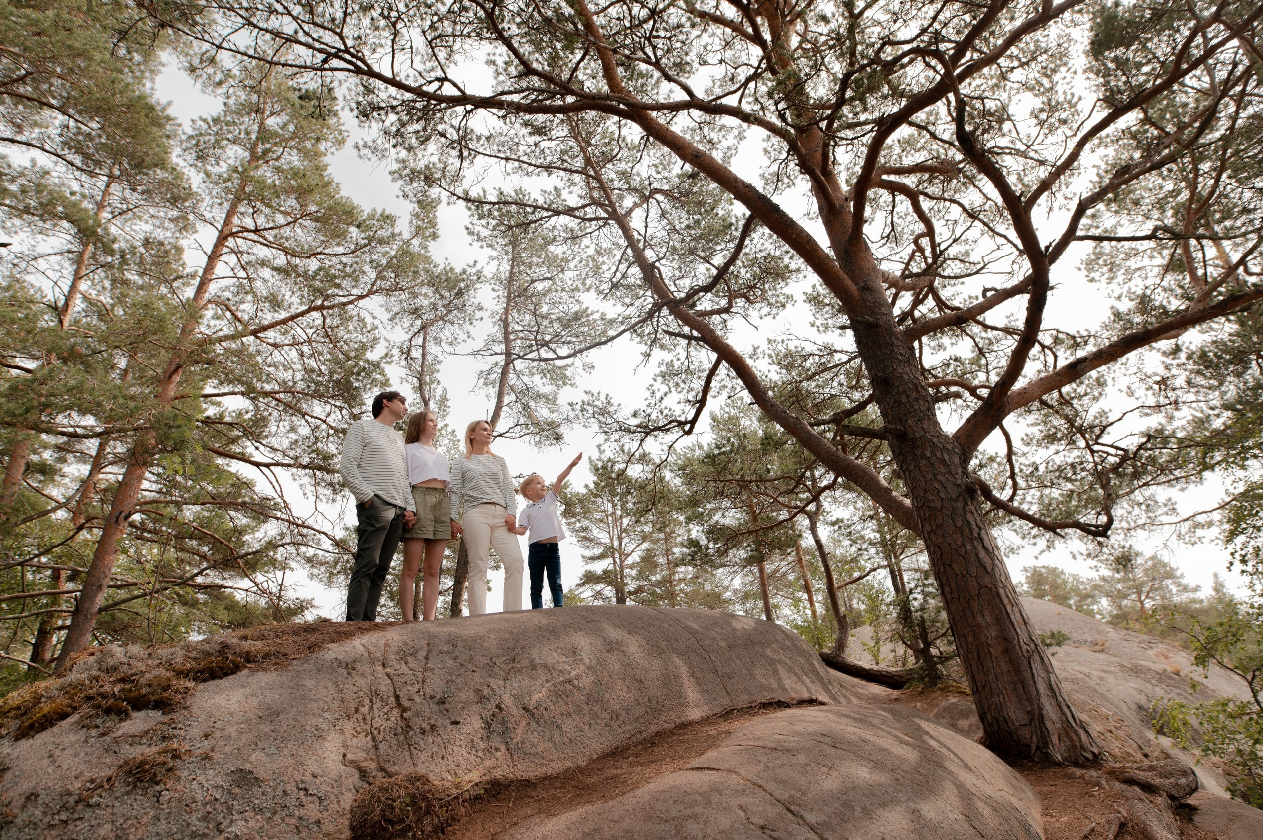 Хонкасало: сосновый остров. Профессиональный фотограф и видеограф в Сортавала Ася Легконогова