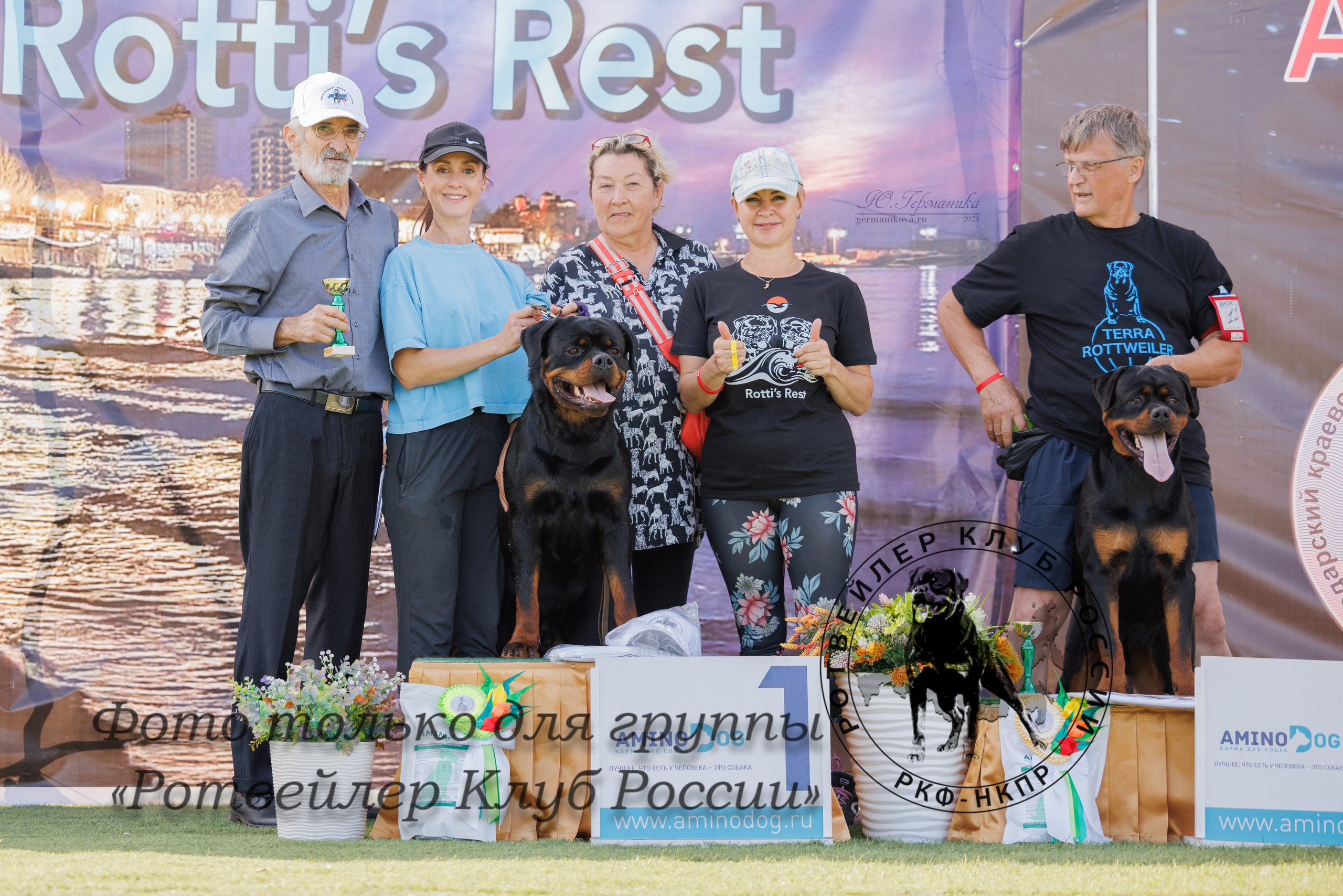 Анапа ротвейлеры 14-15.09.2024. Фотограф-анималист Юлия Германика