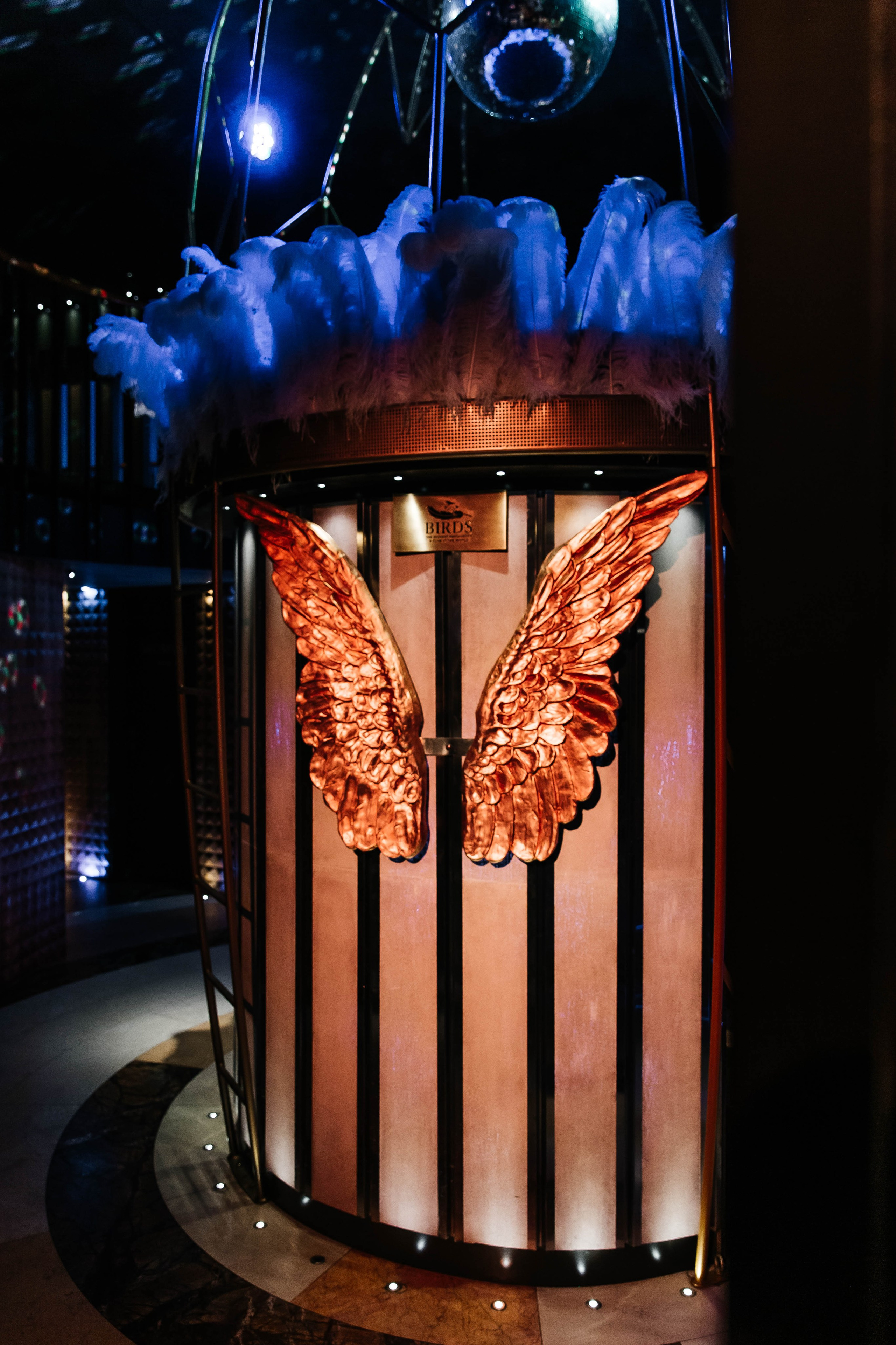 Девичник |Birds. Фотограф Абакумова Анастасия