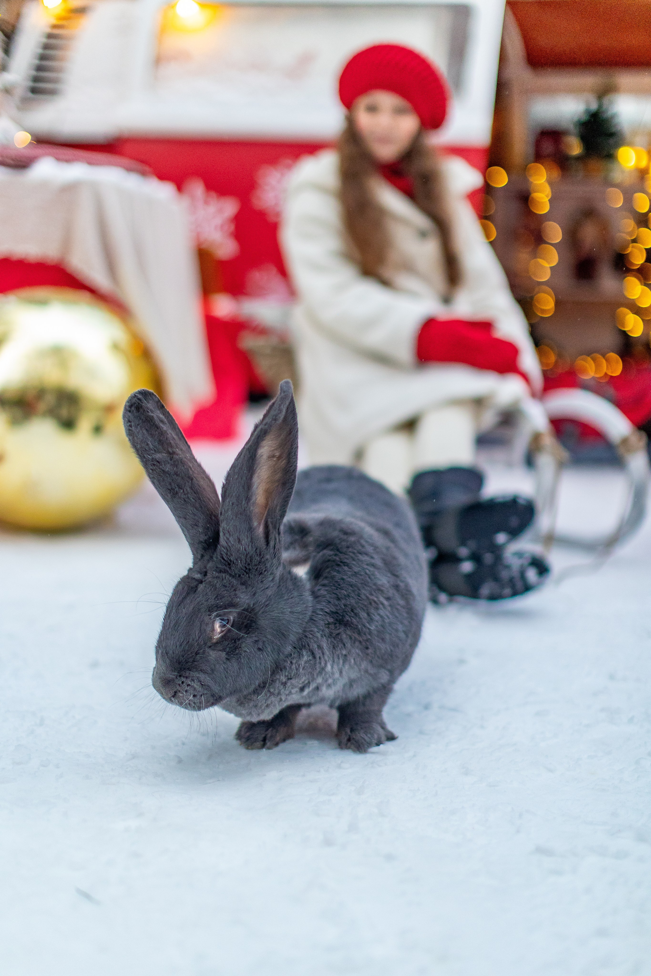 Семейные и детские фотосессии. Фото и видео Москва, Московский. Свадебный фотограф, видеограф, фотосессии, видеосъемка