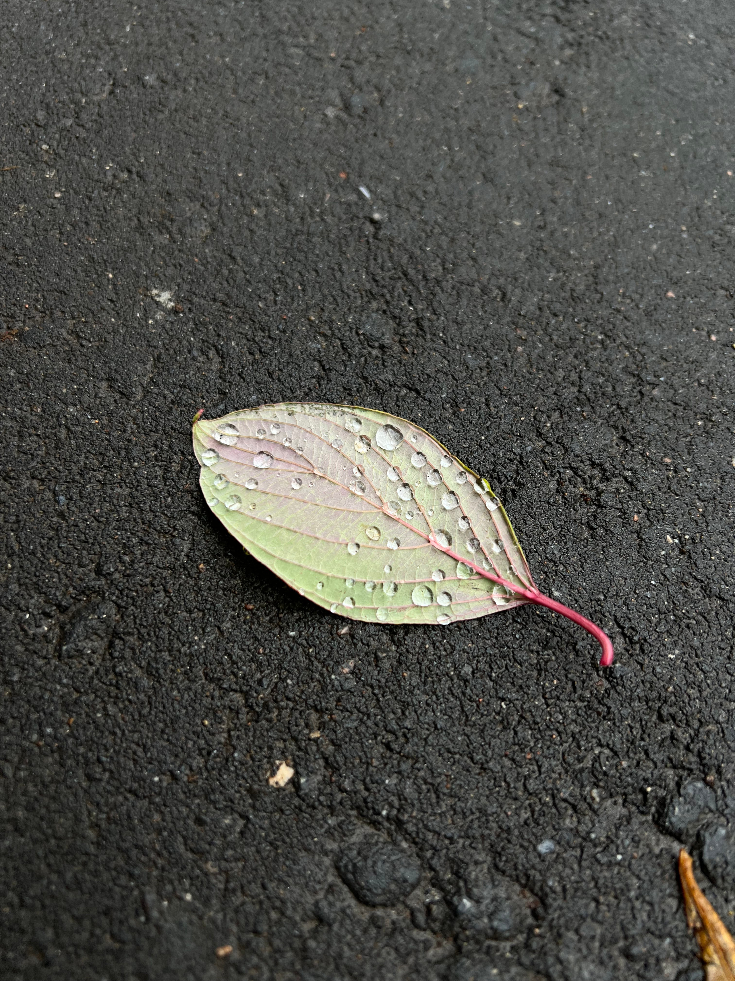 Fragments. Artem Khusainov