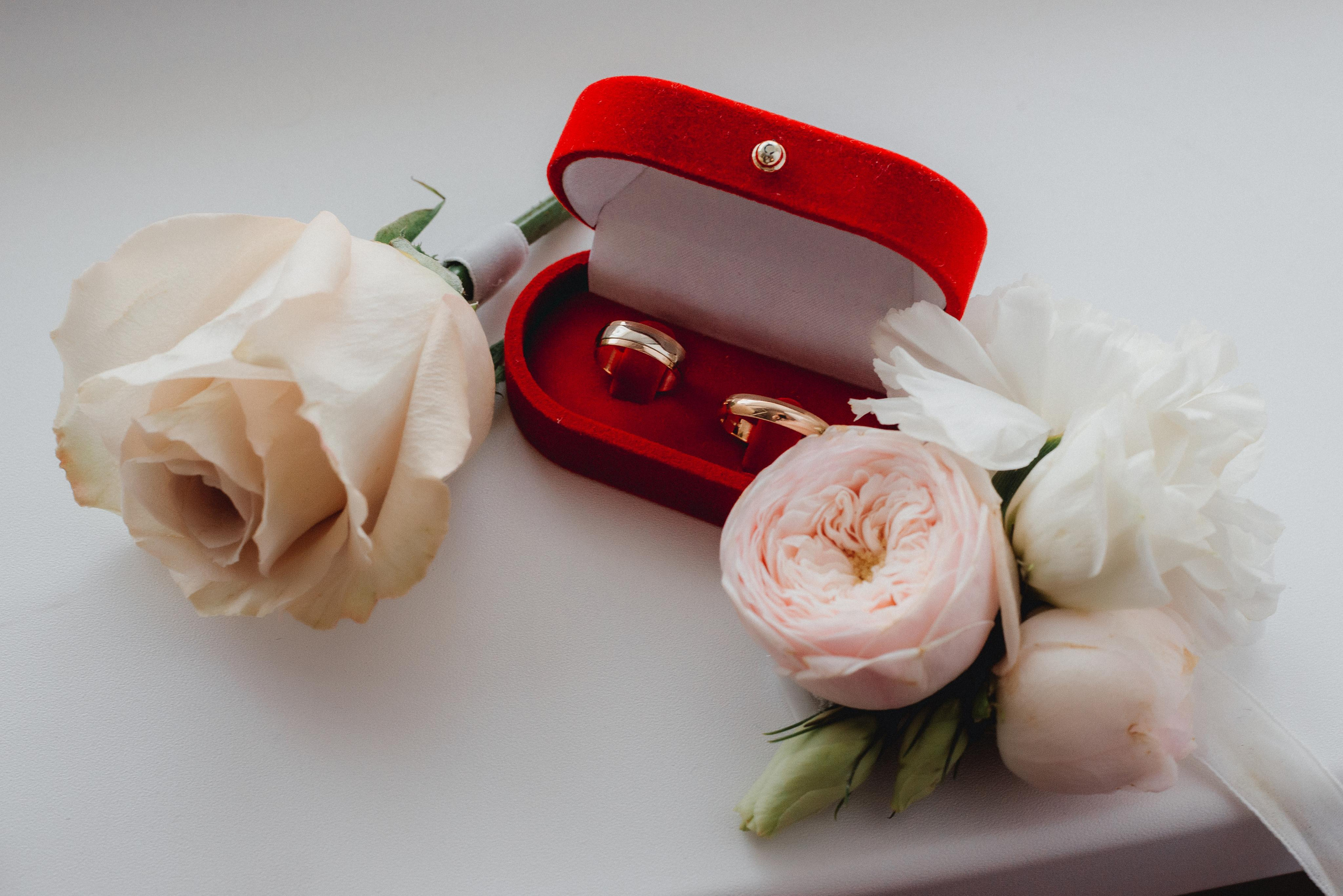 Настя и Рома. Фотограф Николай Павленко в Гомеле