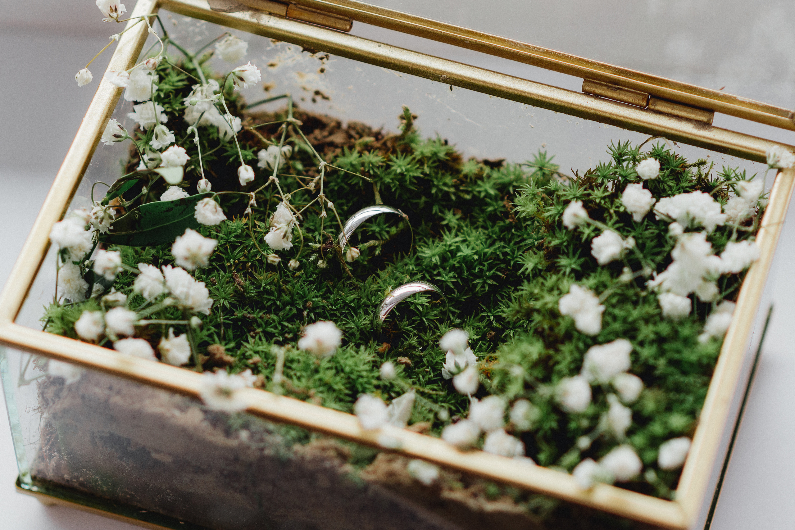 Василий и Вероника. Фотограф Николай Павленко в Гомеле