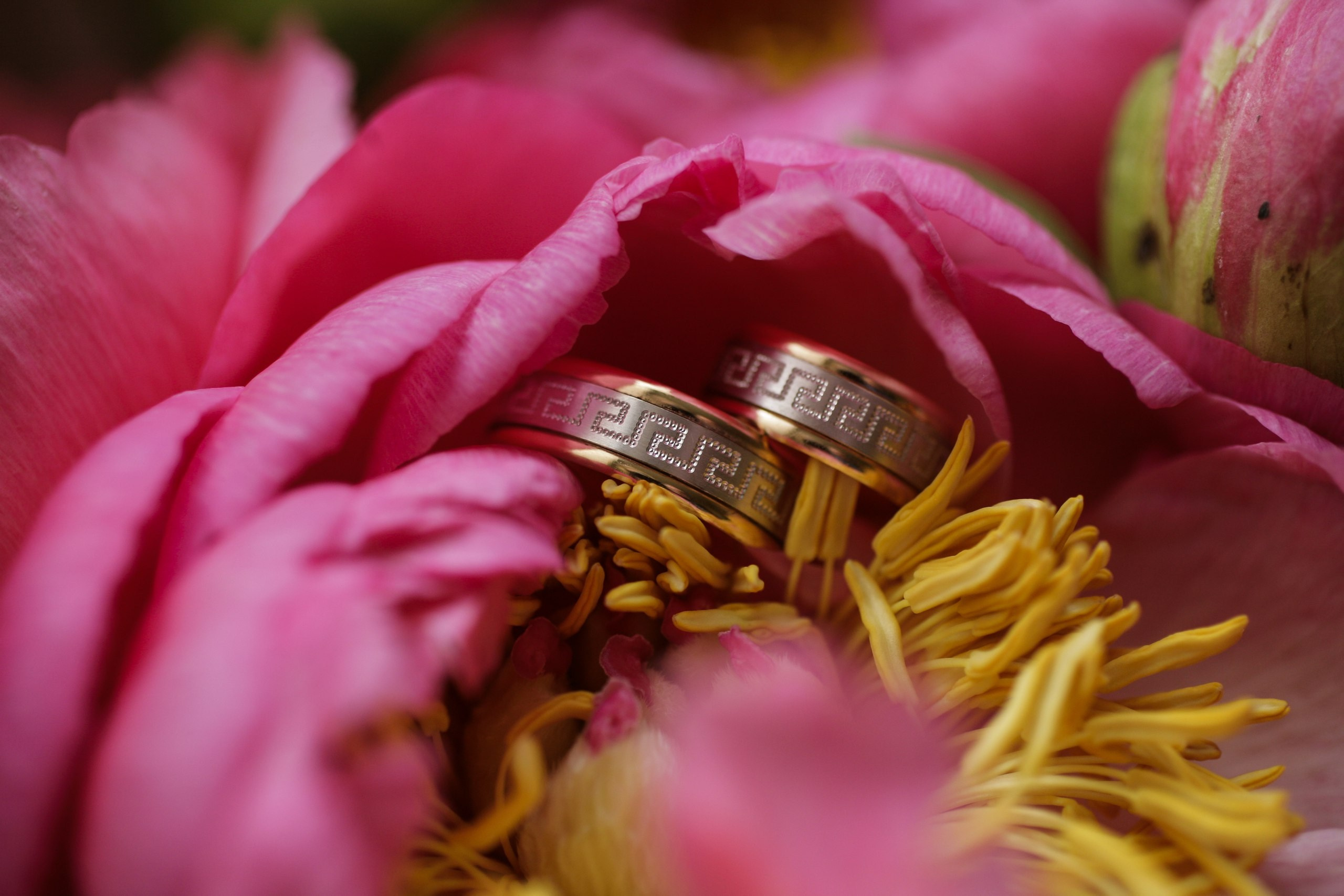 Love. Елизавета Медведева