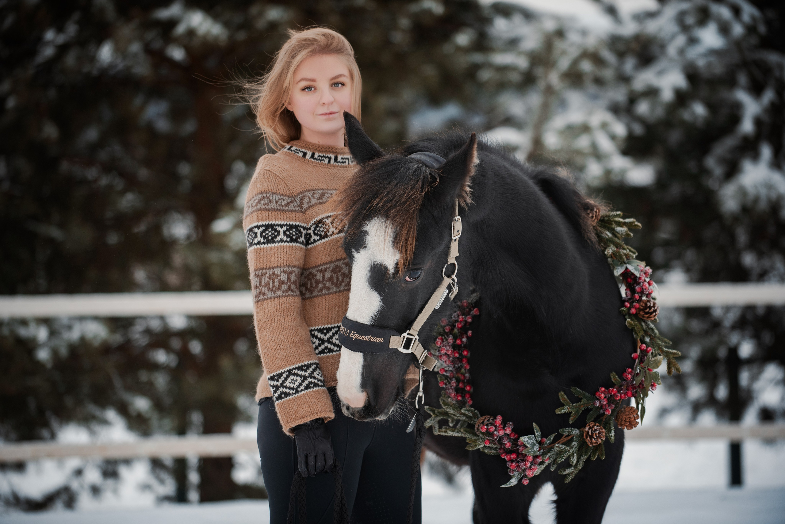 Зимний Настасьин табун. Куракина Дарья • Конный фотограф