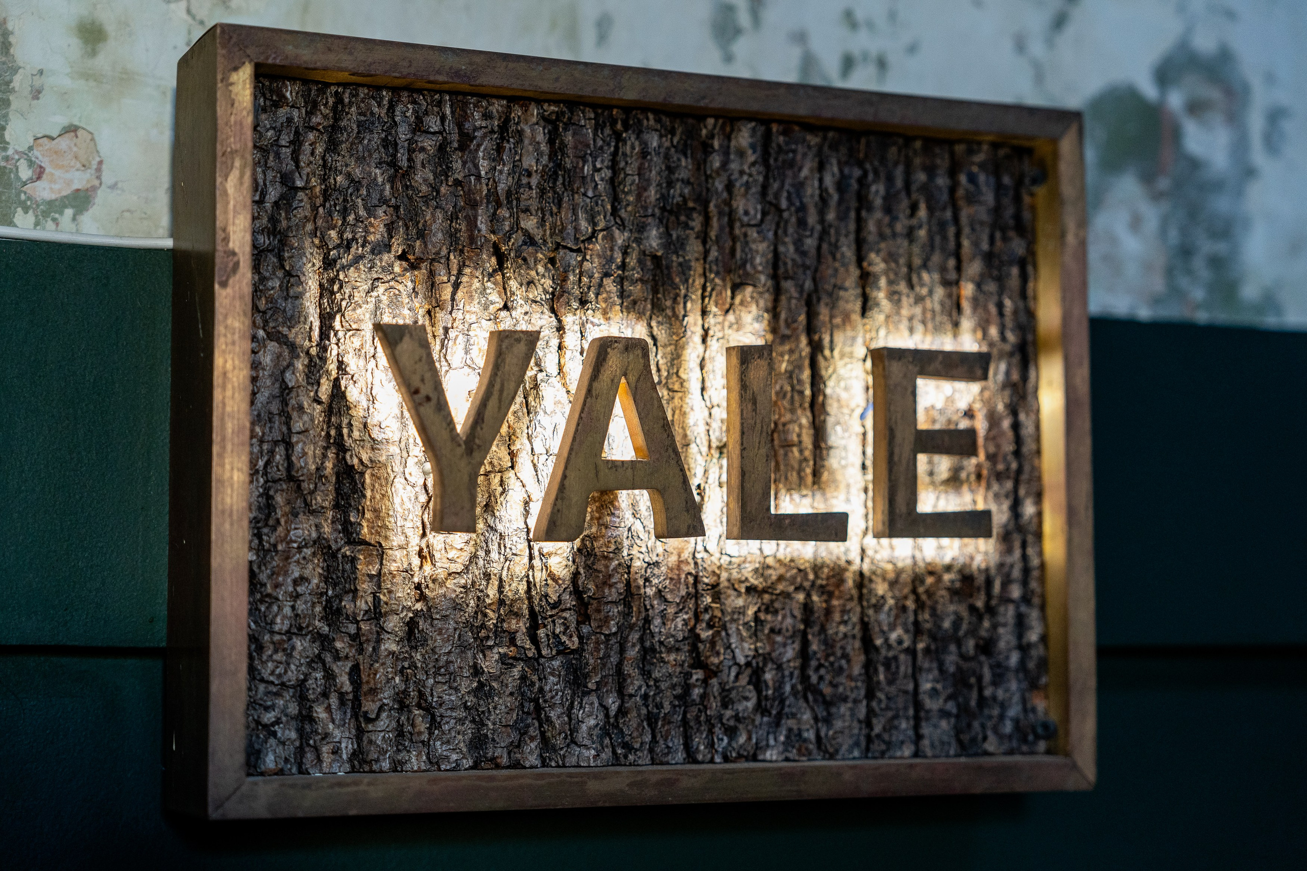 Альфа Босс. Sunnyman