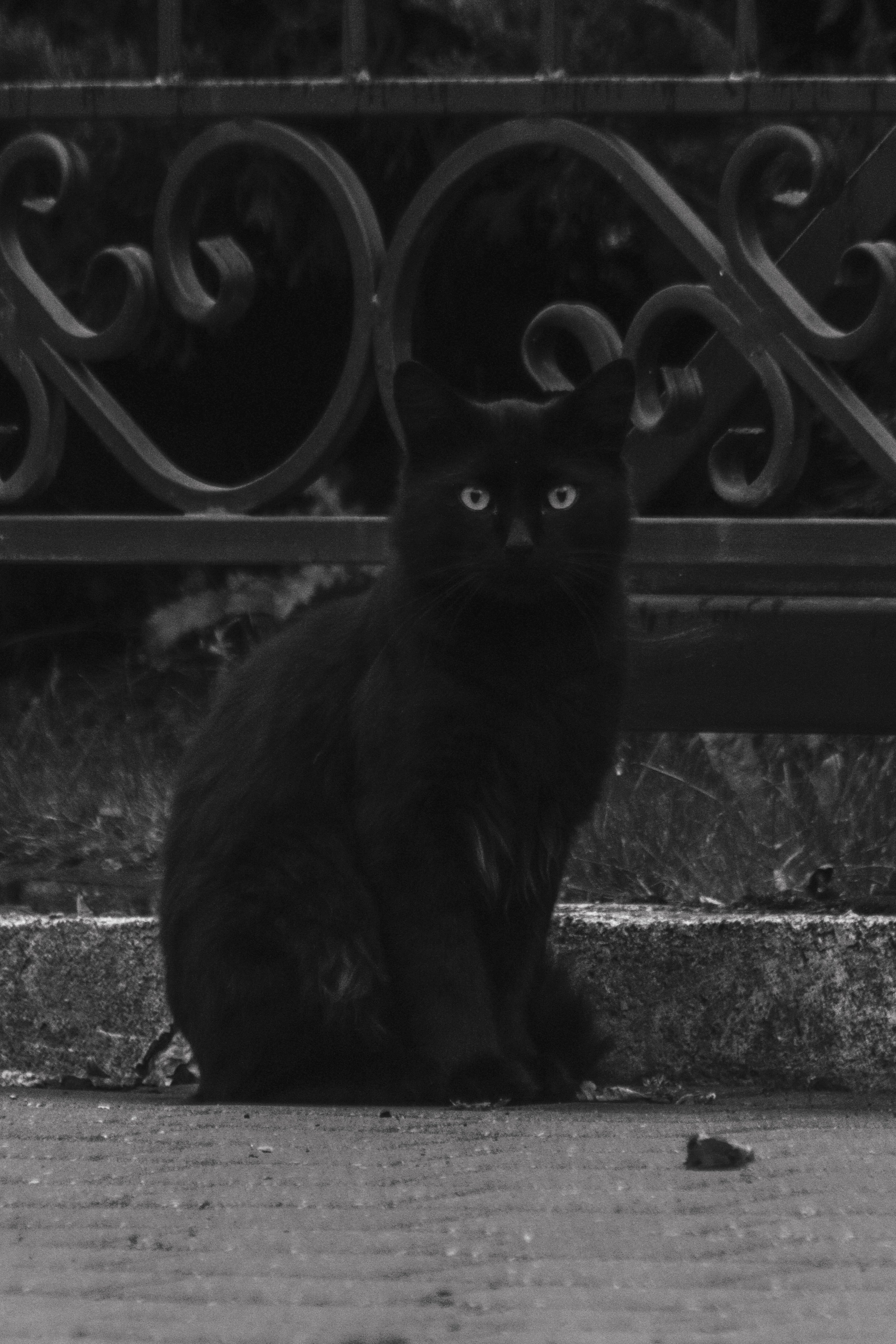 Ч \ Б. — Digital Noise —