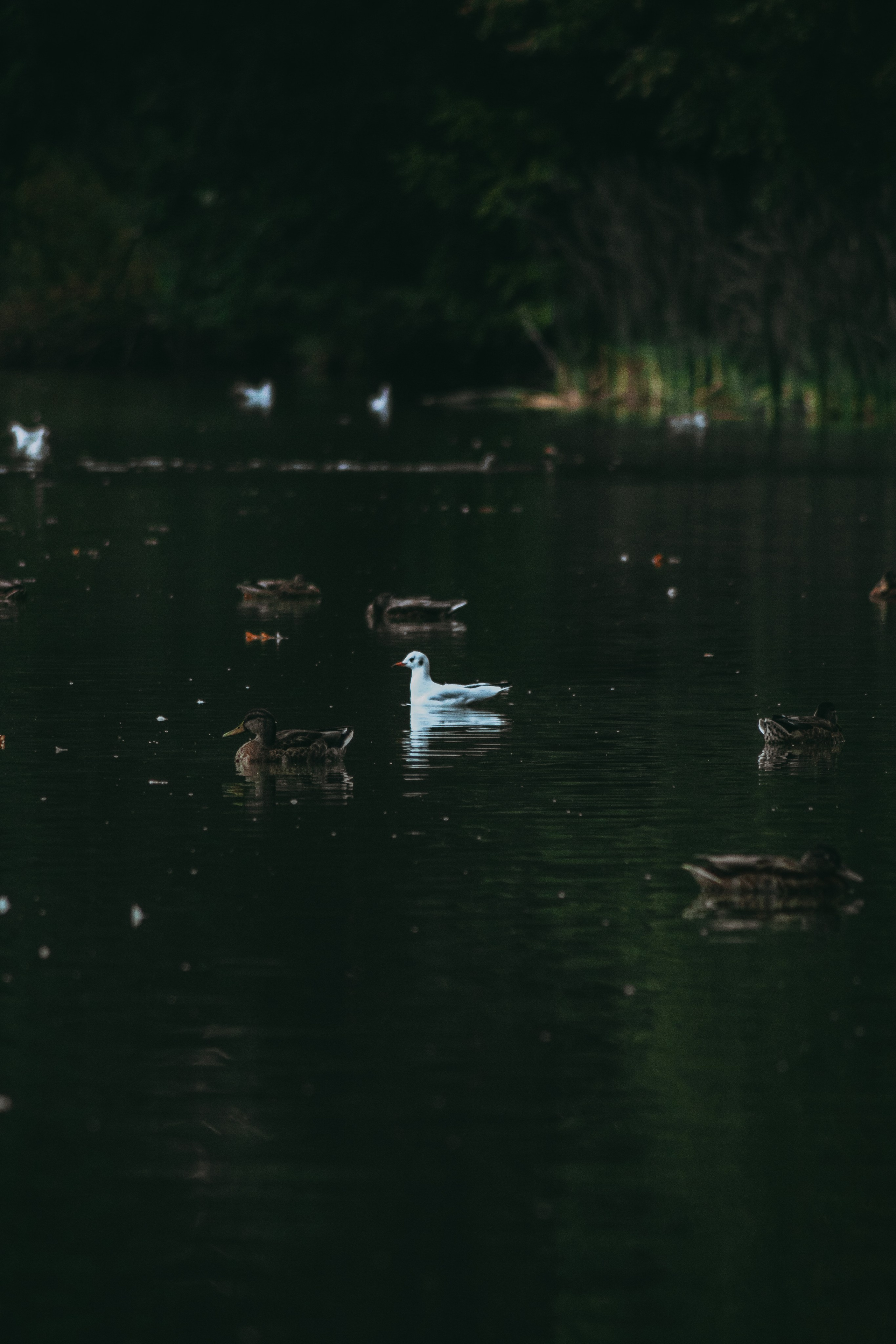 Т Е П Л Ы Й — З Е Л Е Н Ы Й. — Digital Noise —