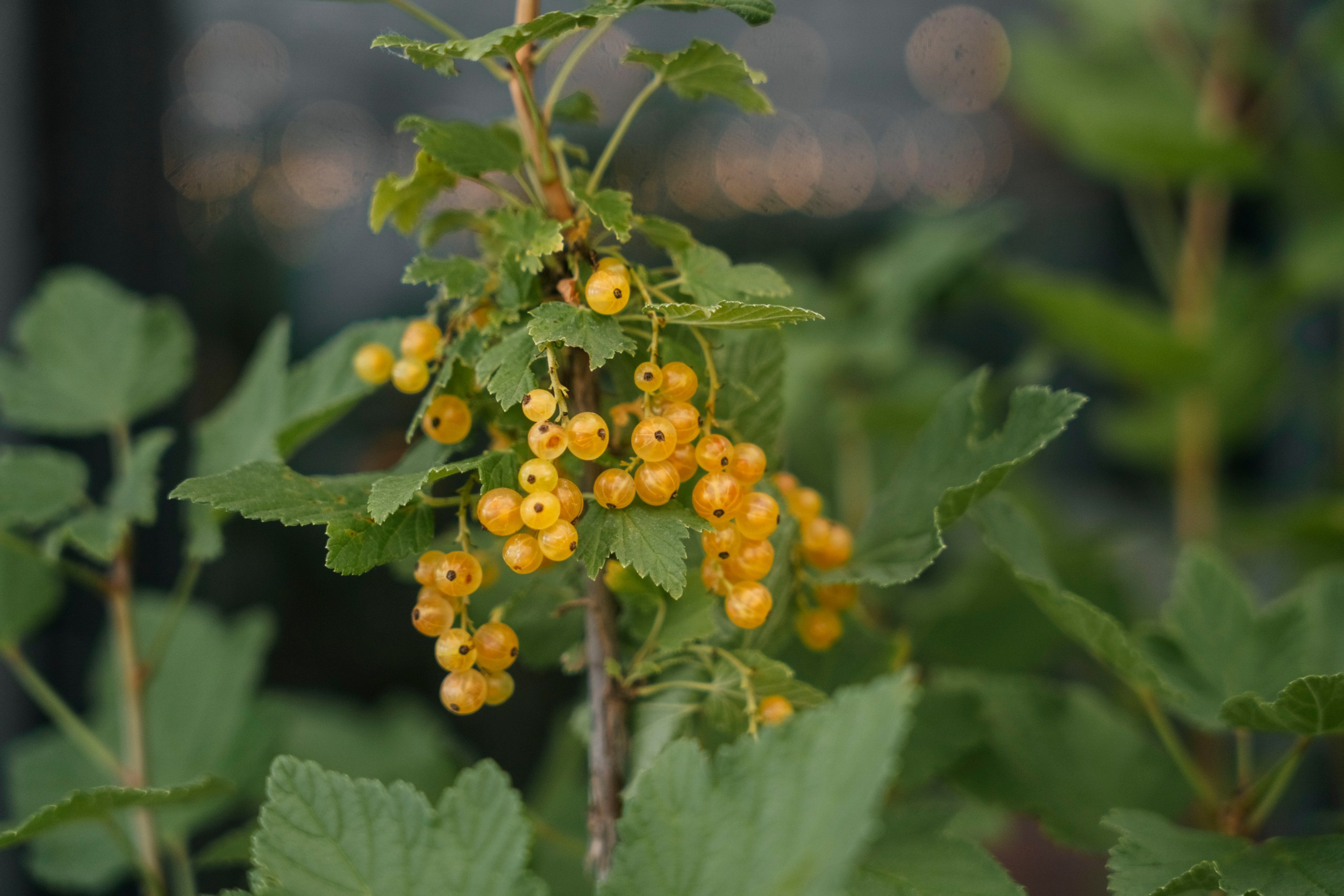 Толока х Enter. Саша Копылов, фотограф в Казани