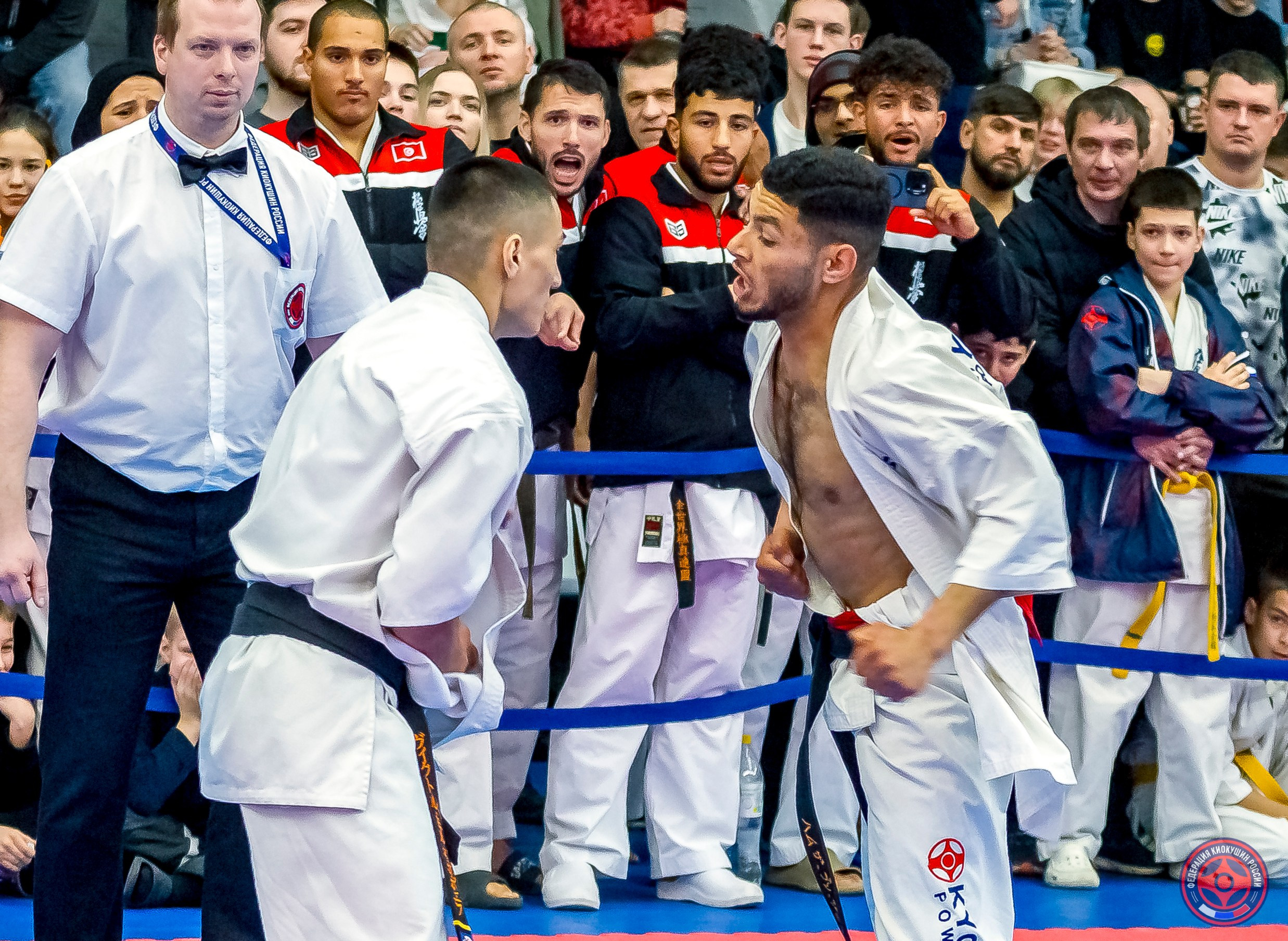 Международный турнир по киокушин «Открытый кубок Seiken». Репортажная съемка в Москве и области. Анималистика