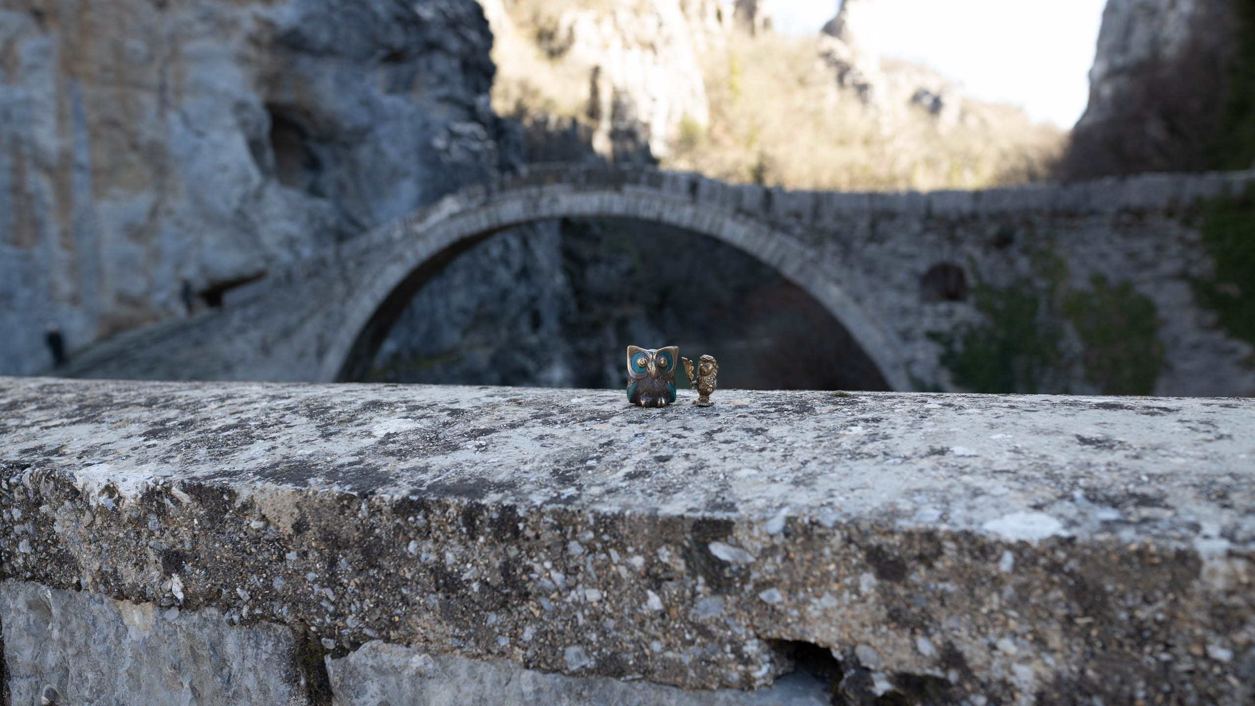 Ёжик и сова. Фотографии