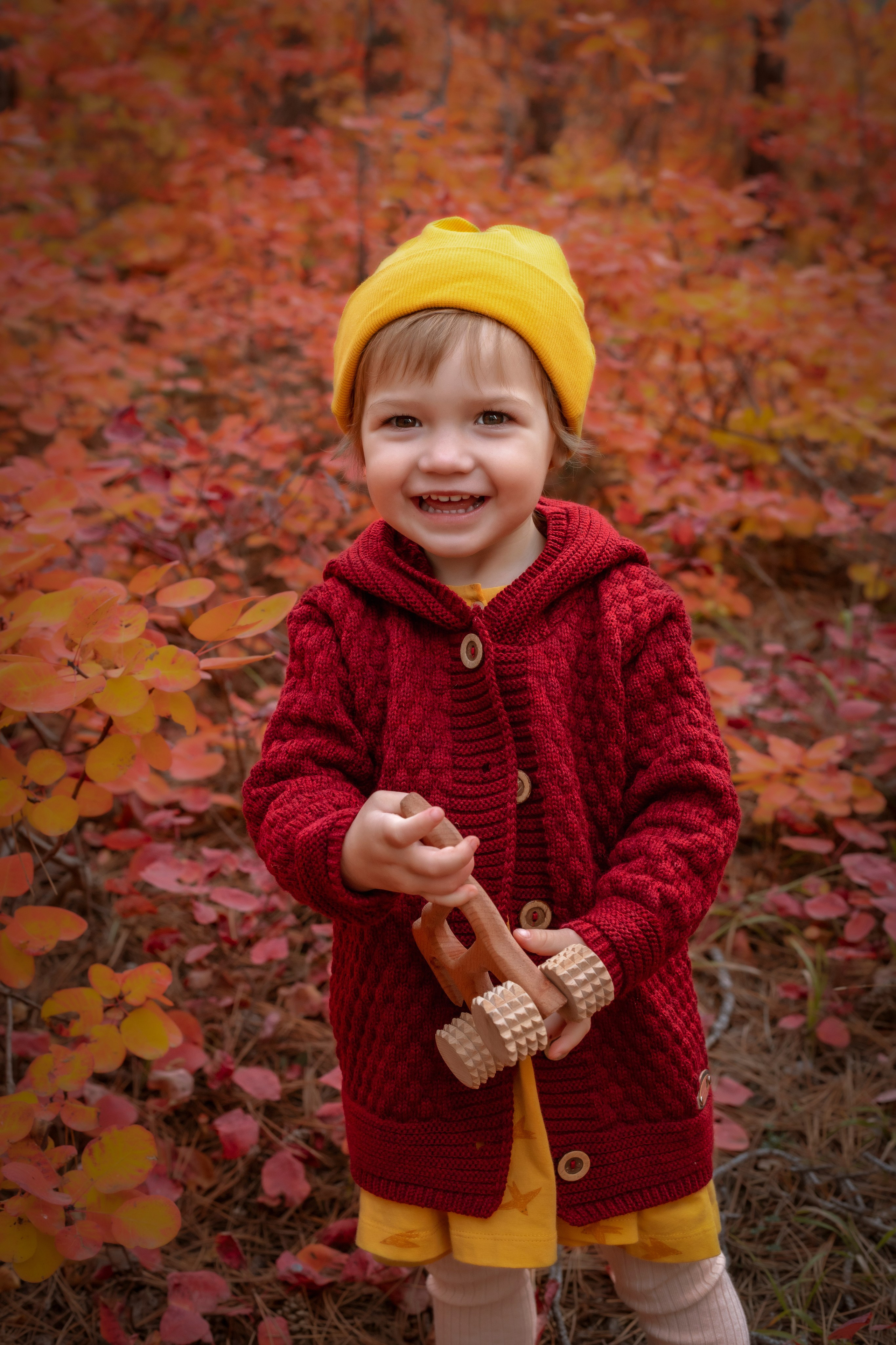 ОСЕННИЙ ЛЕС. Семейный и детский фотограф в Крыму Екатерина Швец