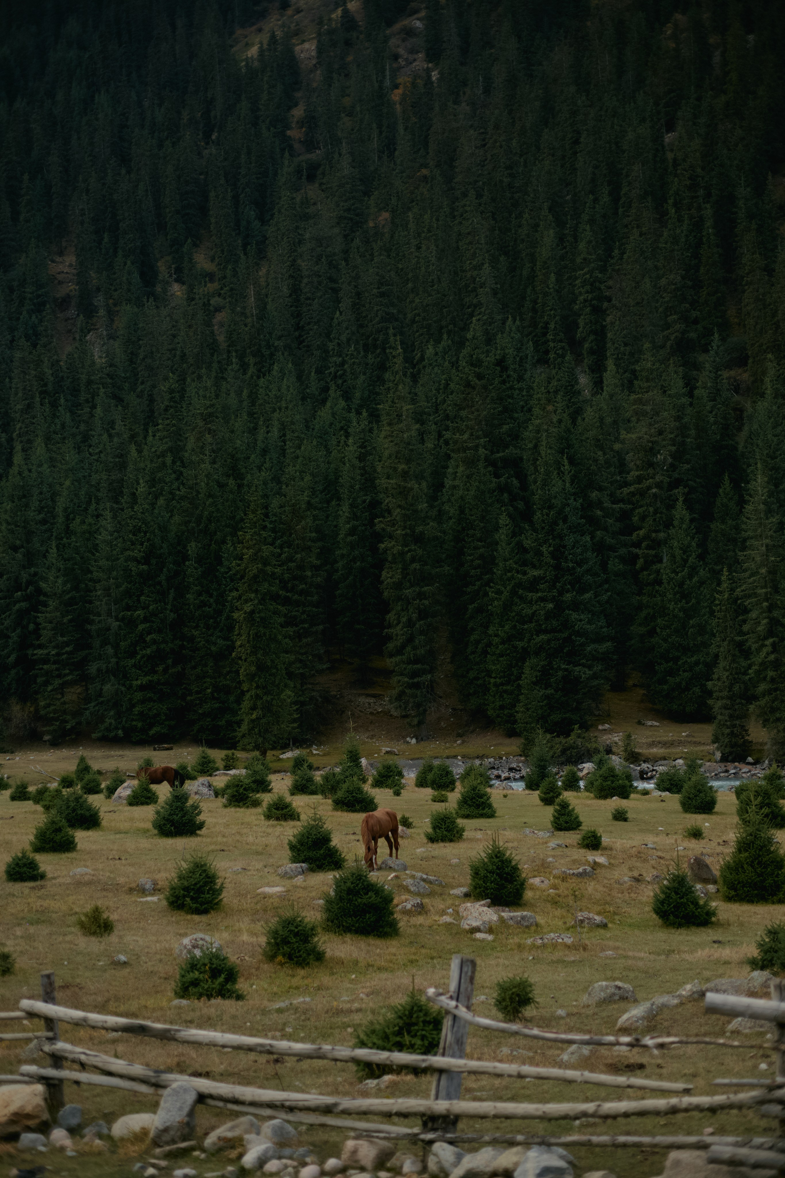 Кыргызтан. Профессиональный Фотограф во Владимире, в Москве и в Суздале — Полина Романычева