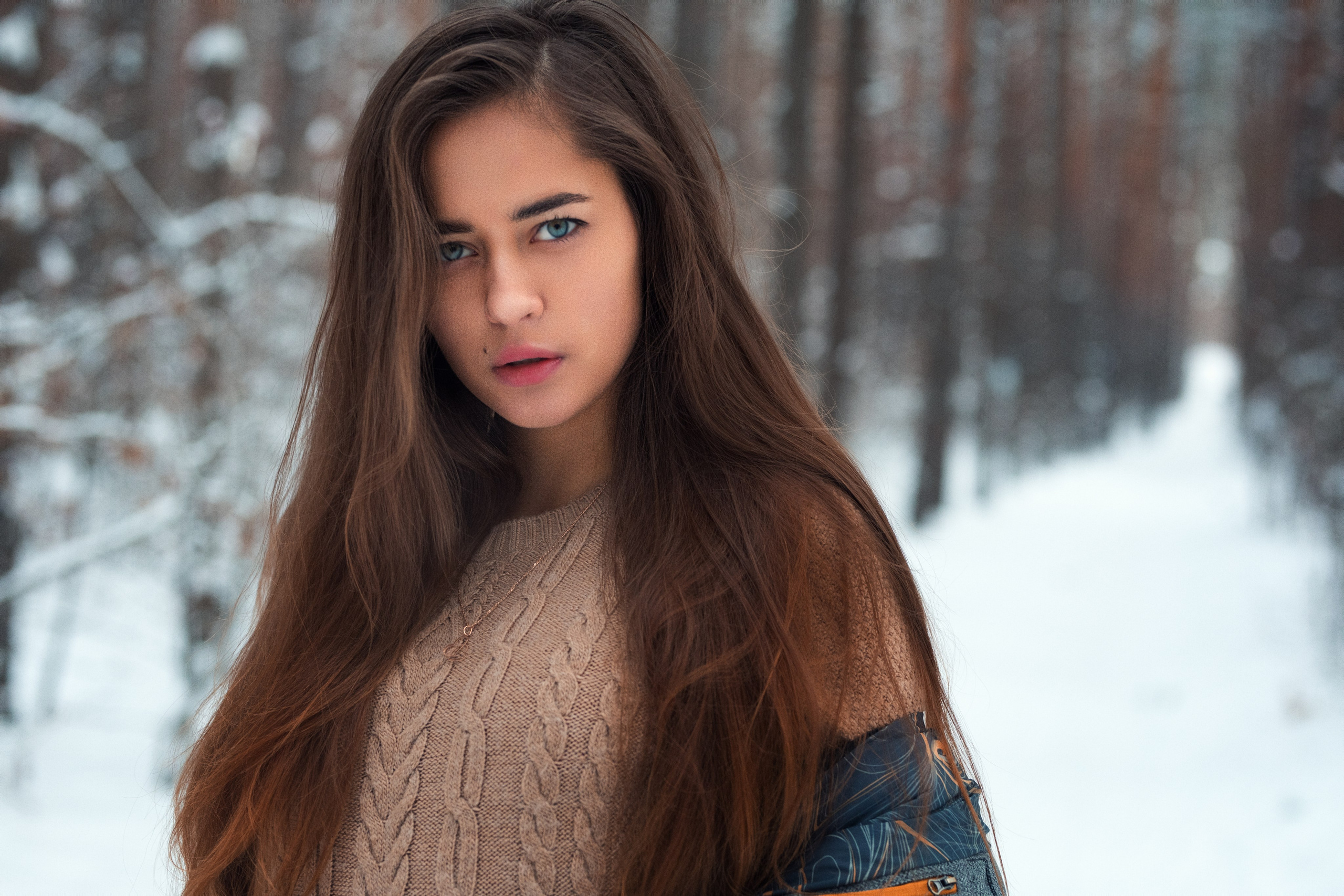 Зимняя съемка в лесу с доберманом с Ольгой в формате для «себя»