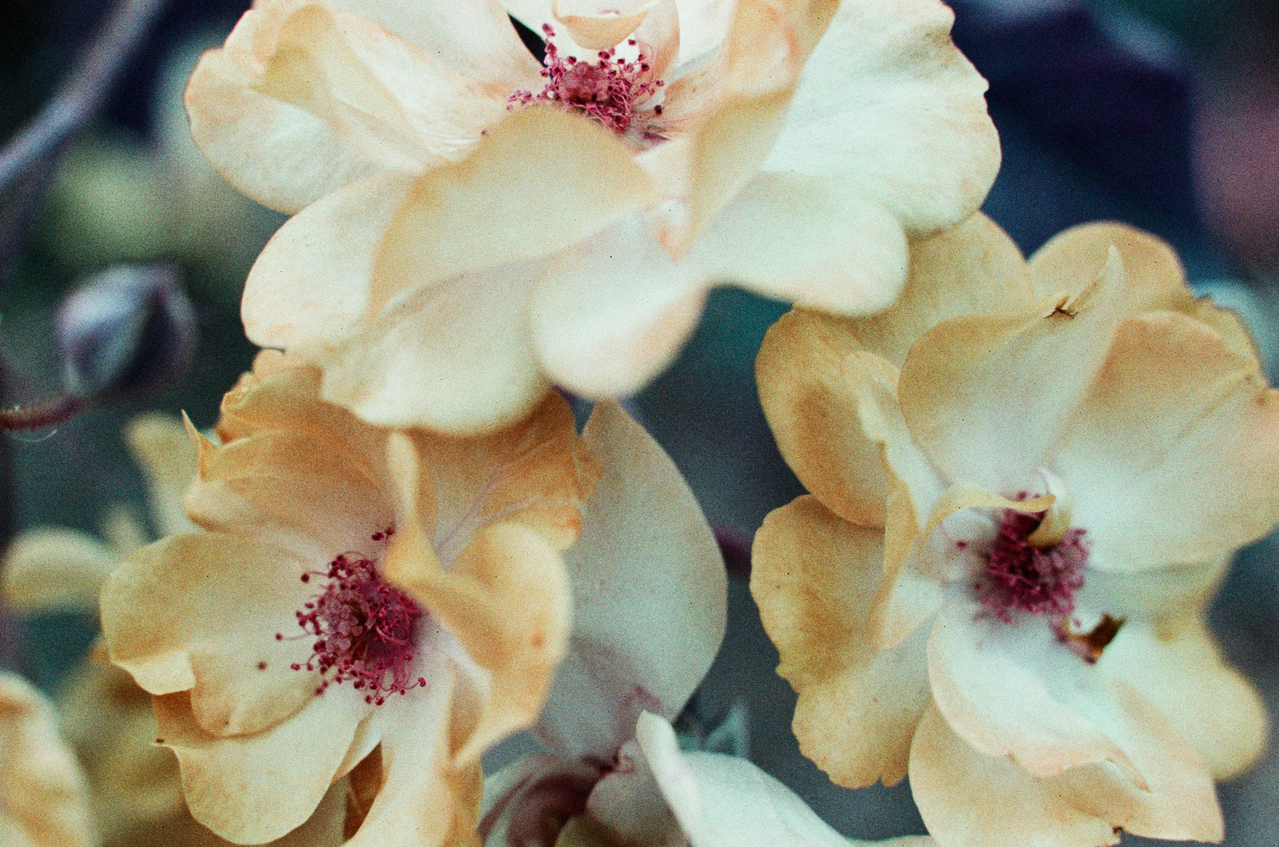 Point of no reply // ukraine, crimea IV. EVER EXPOSED