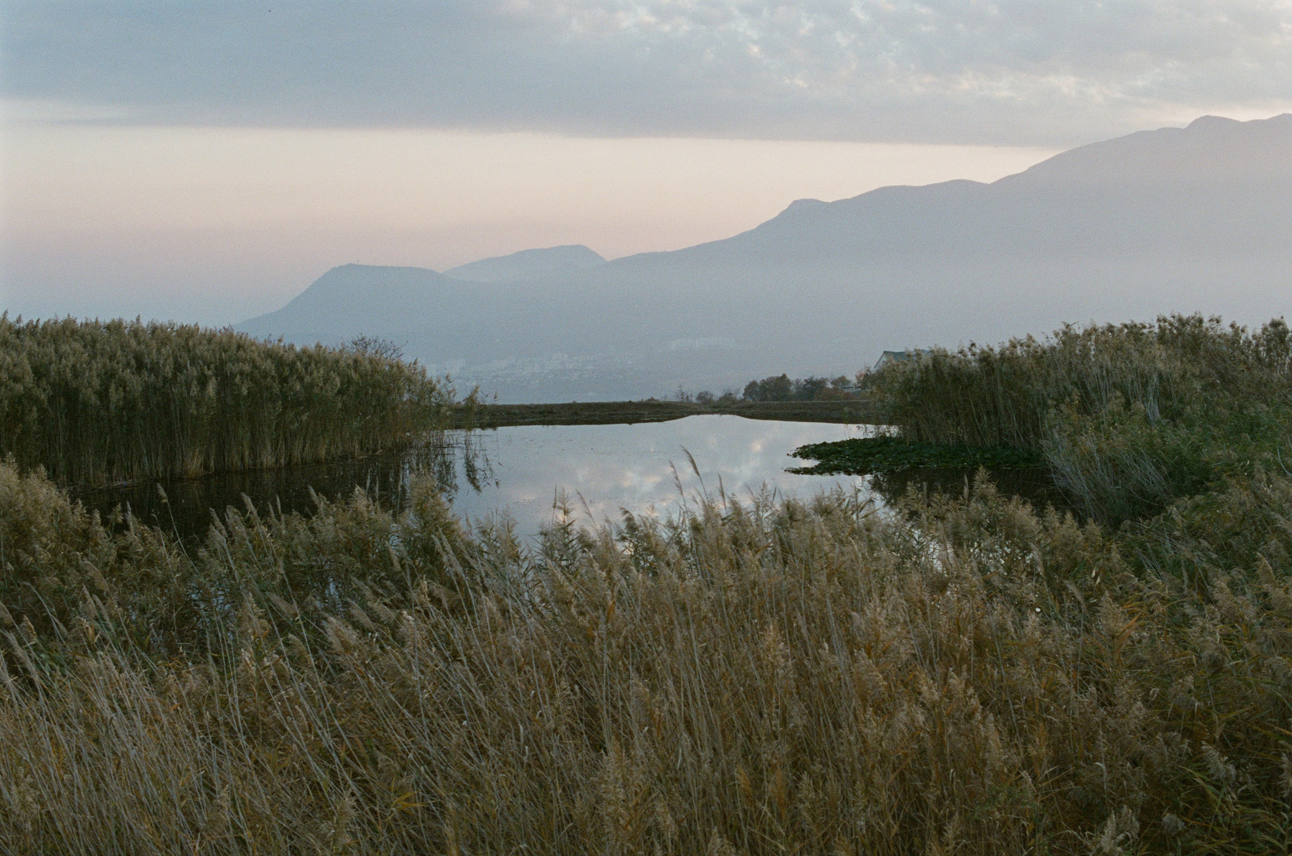 Wherever you will go // ukraine, crimea III. EVER EXPOSED