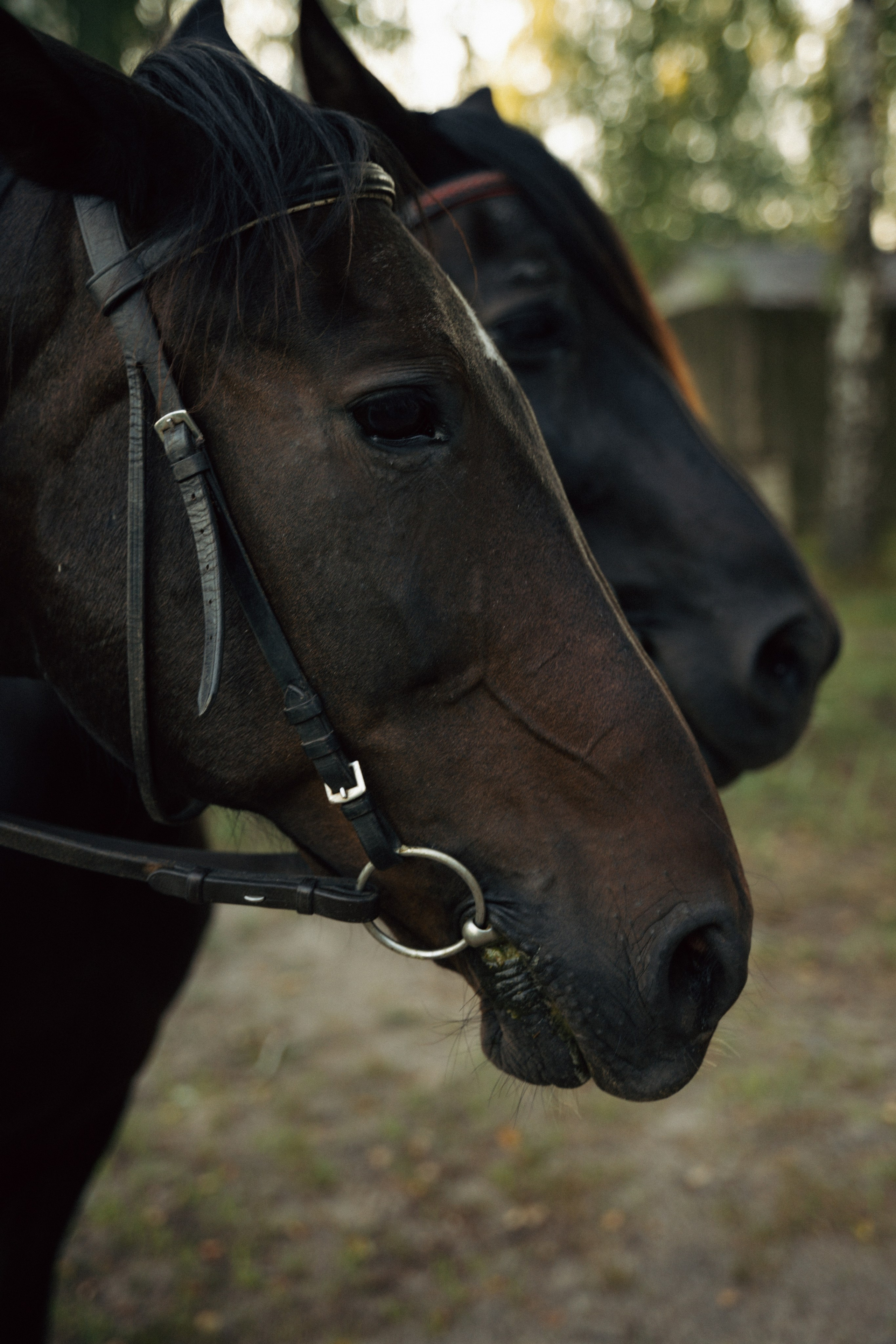 Особенно. Свадебный и портретный фотограф в Брянске и Москве Алина Химушкина