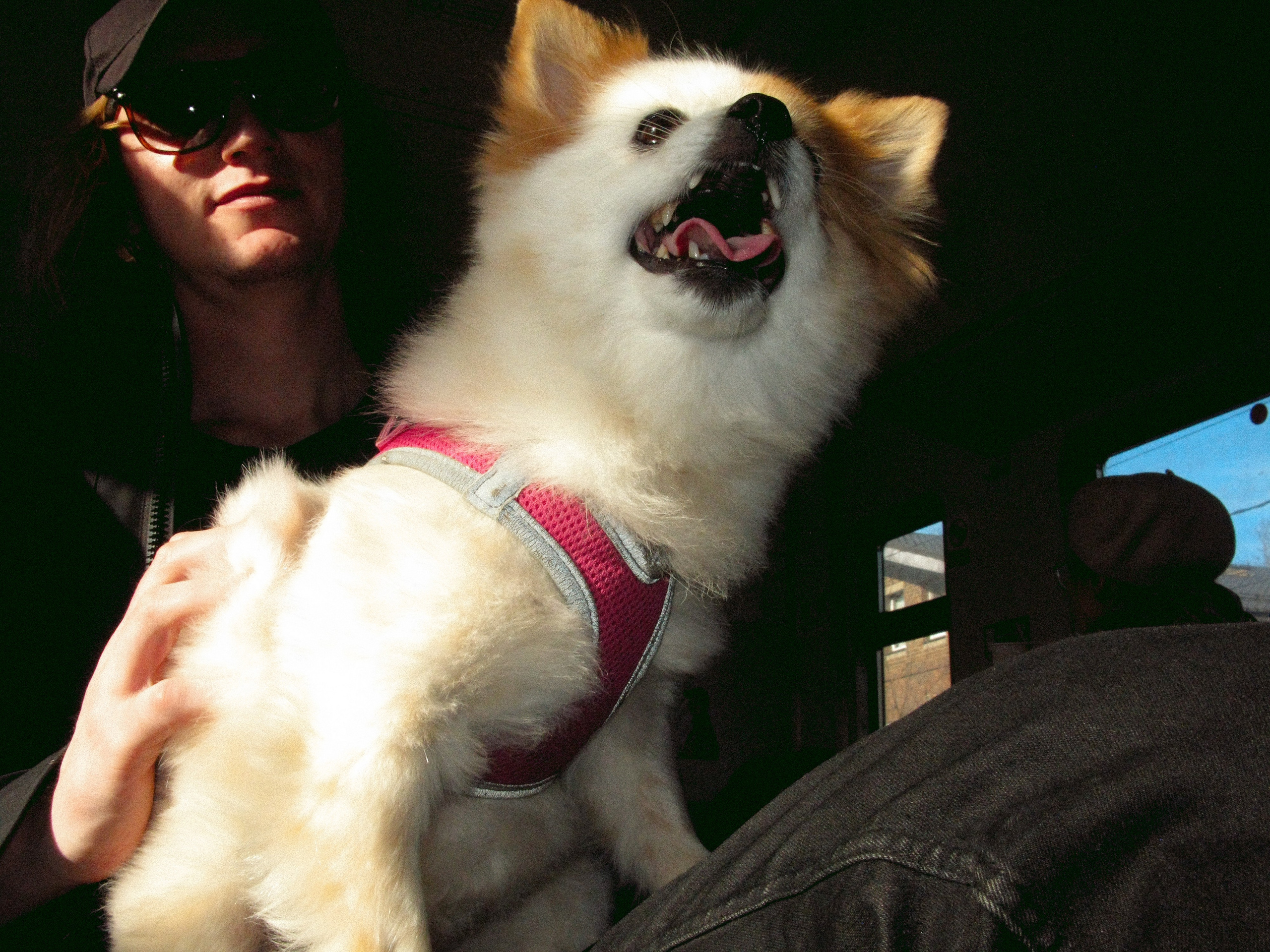 Mar. Фотограф Миланазавр