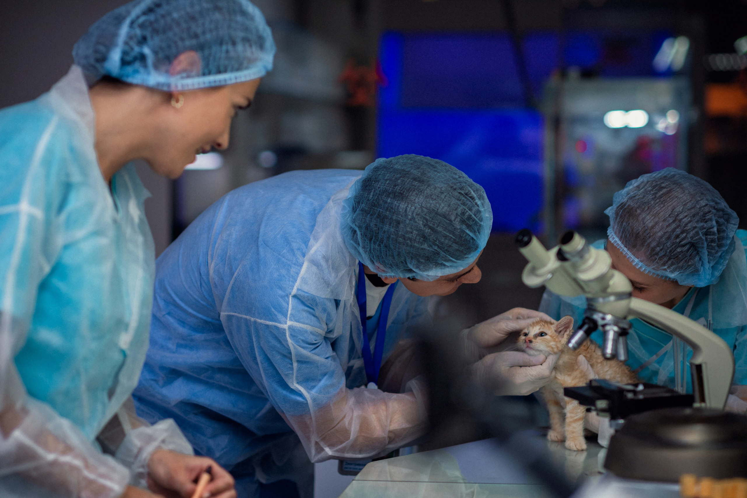 К/с «Кабинет Путешественника». Фотограф Диана Вальтер